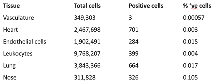 Preprints 191903 i001
