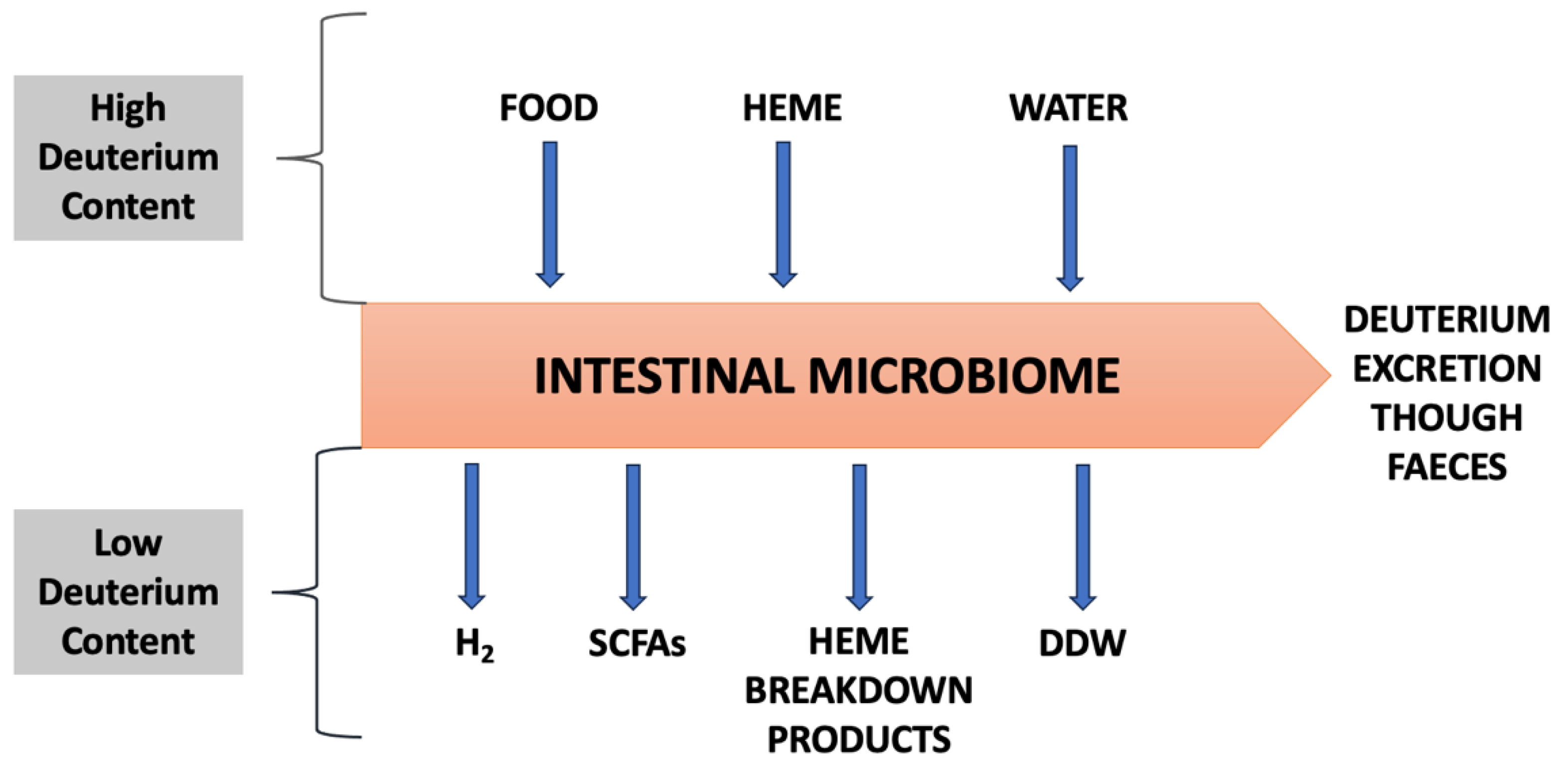 Preprints 147303 g005