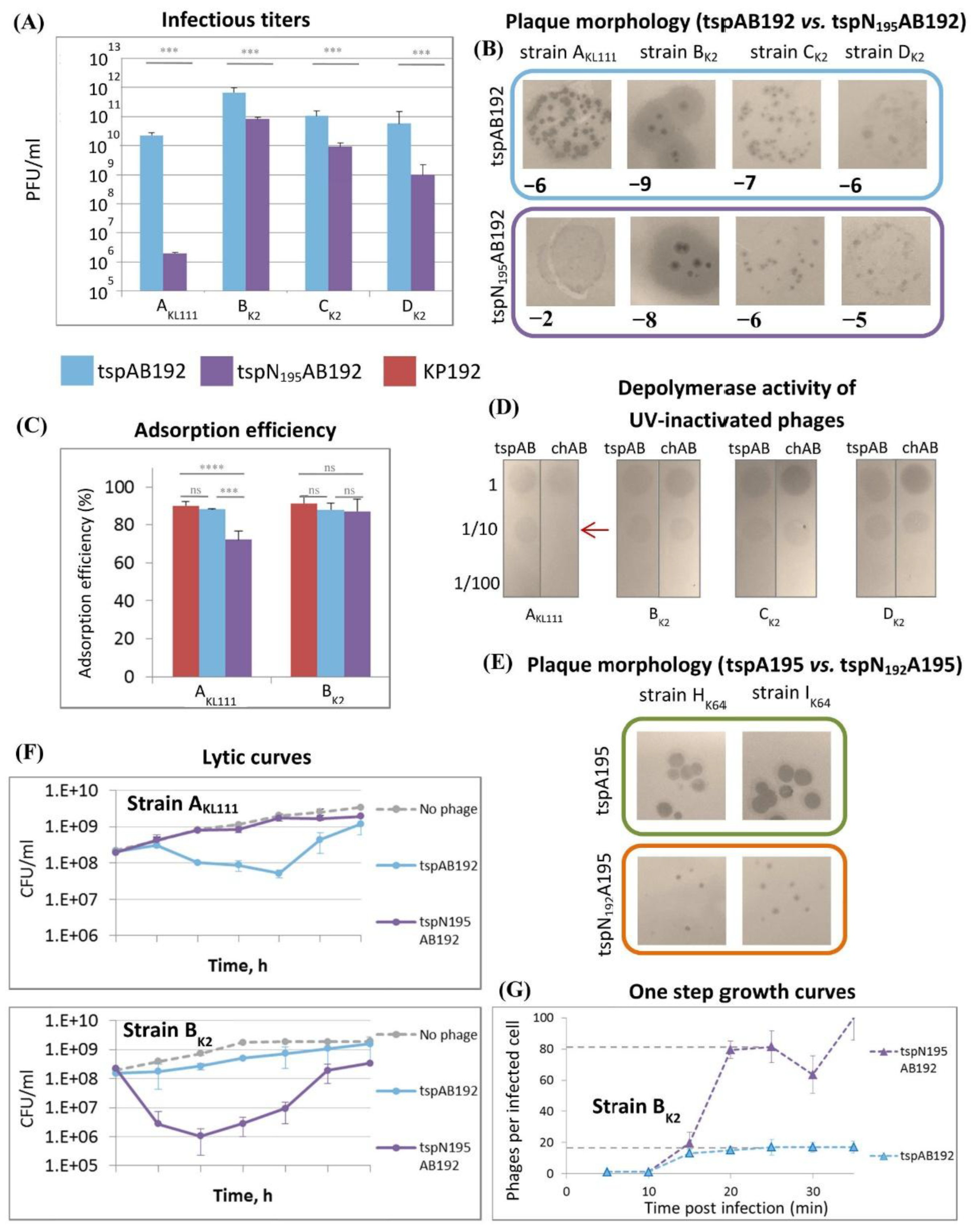 Preprints 178941 g003