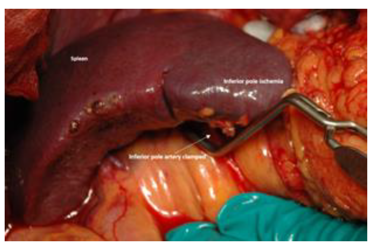 Preprints 207697 g001