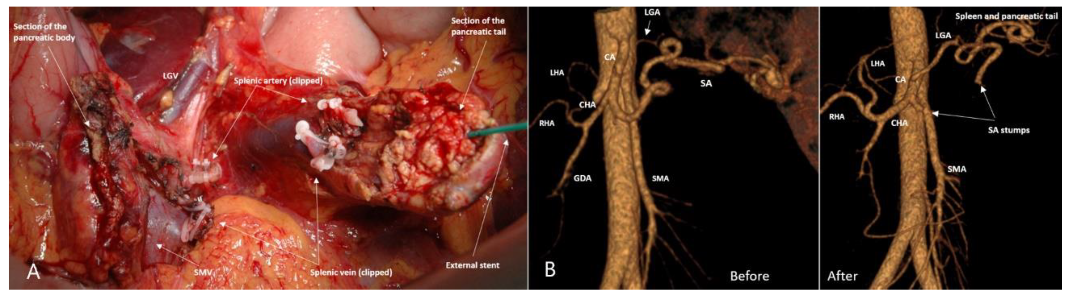 Preprints 207697 g005