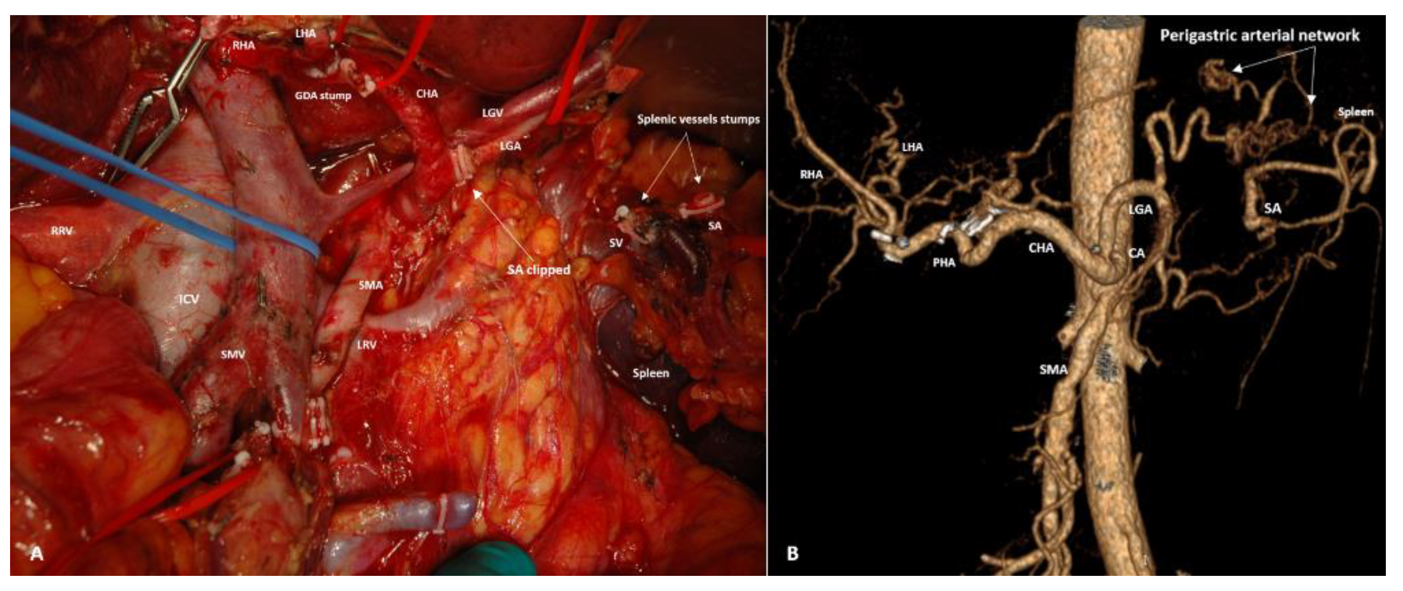 Preprints 207697 g006