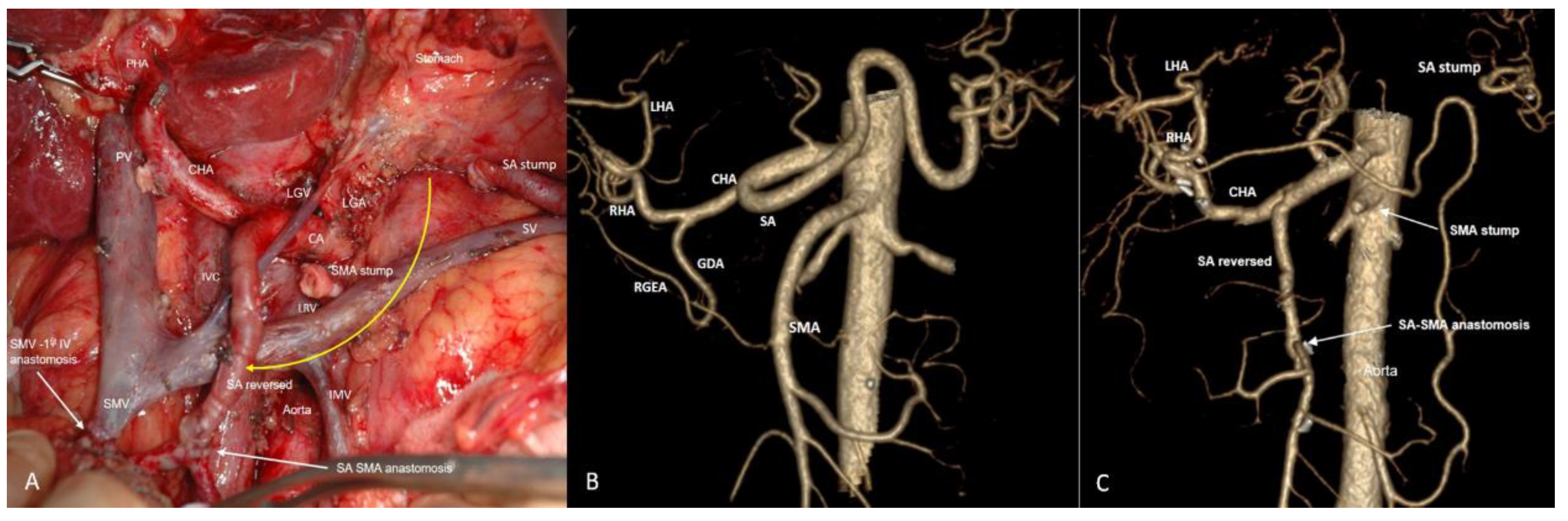 Preprints 207697 g007