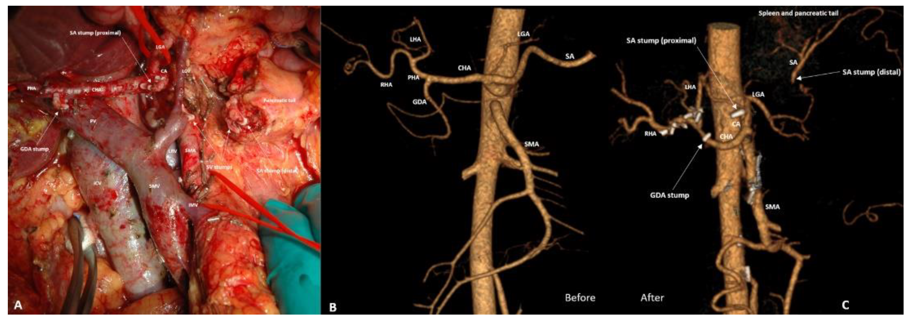 Preprints 207697 g008