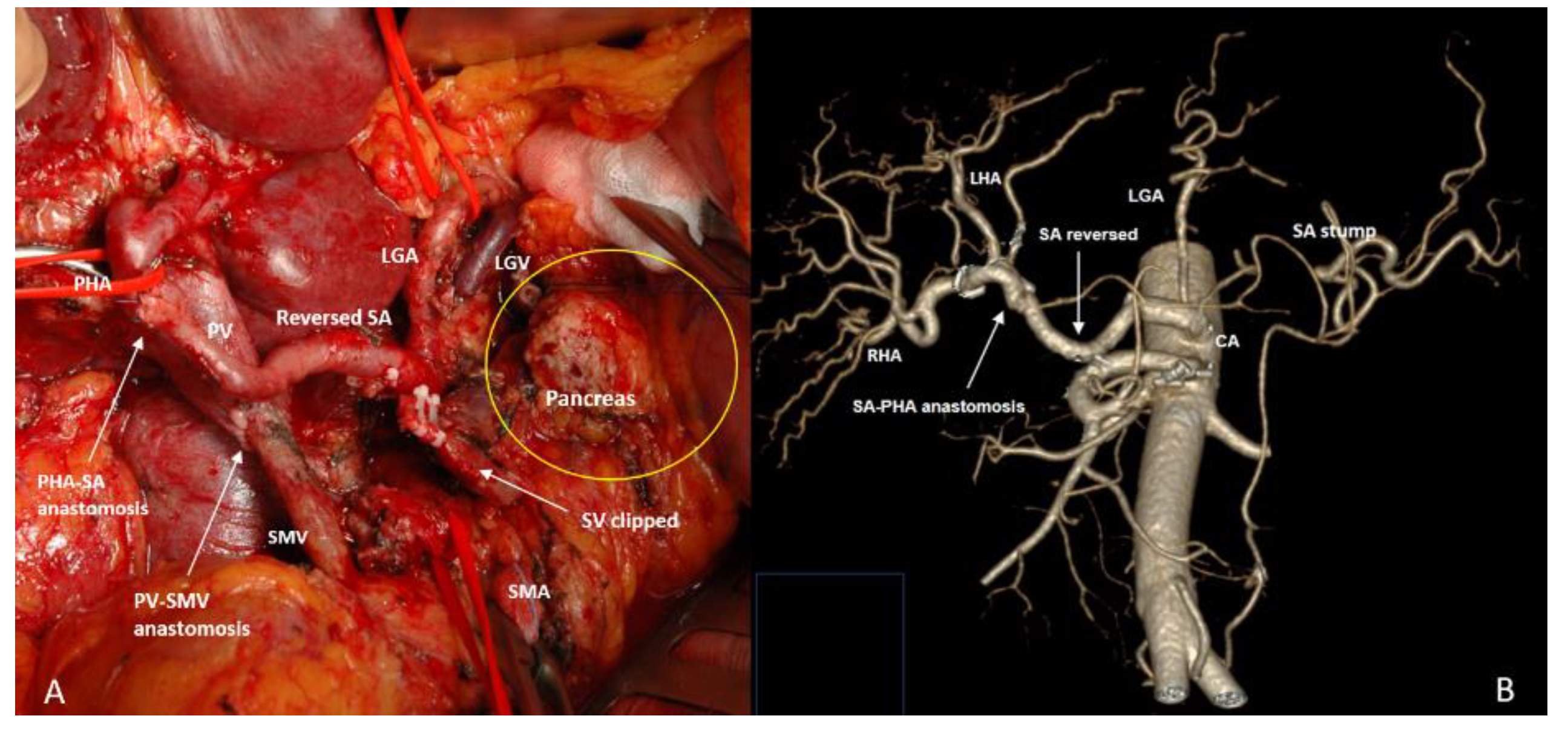 Preprints 207697 g009