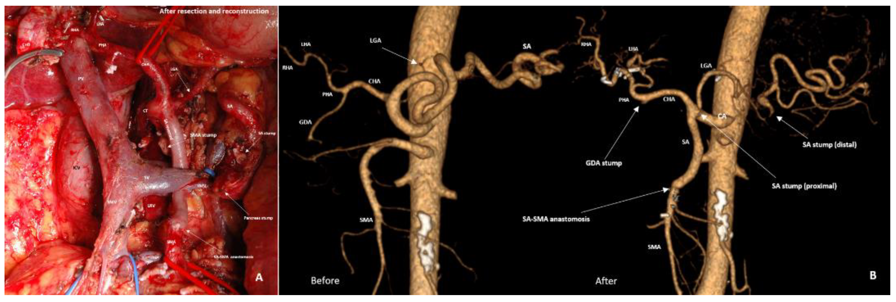 Preprints 207697 g010