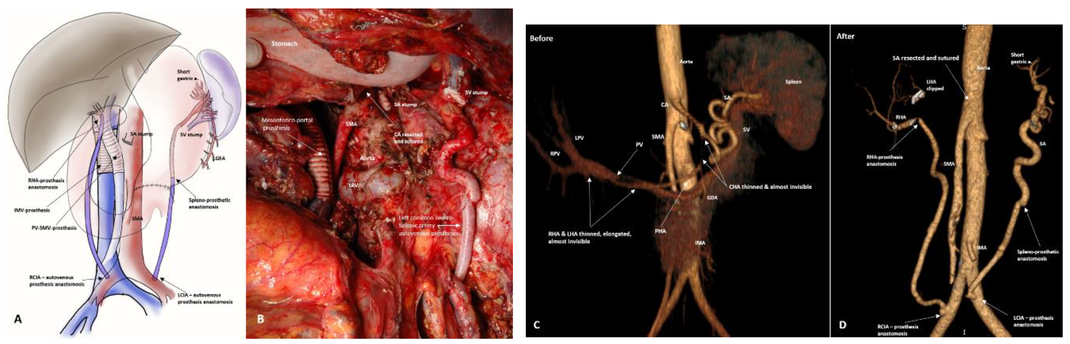 Preprints 207697 g011