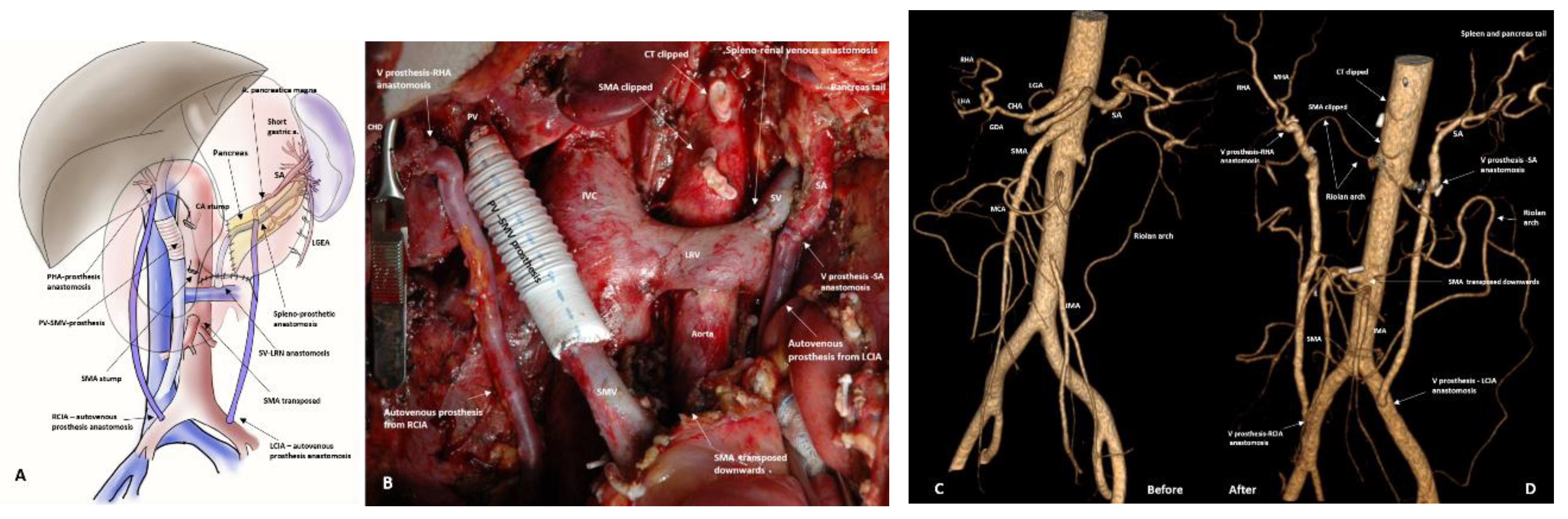 Preprints 207697 g012