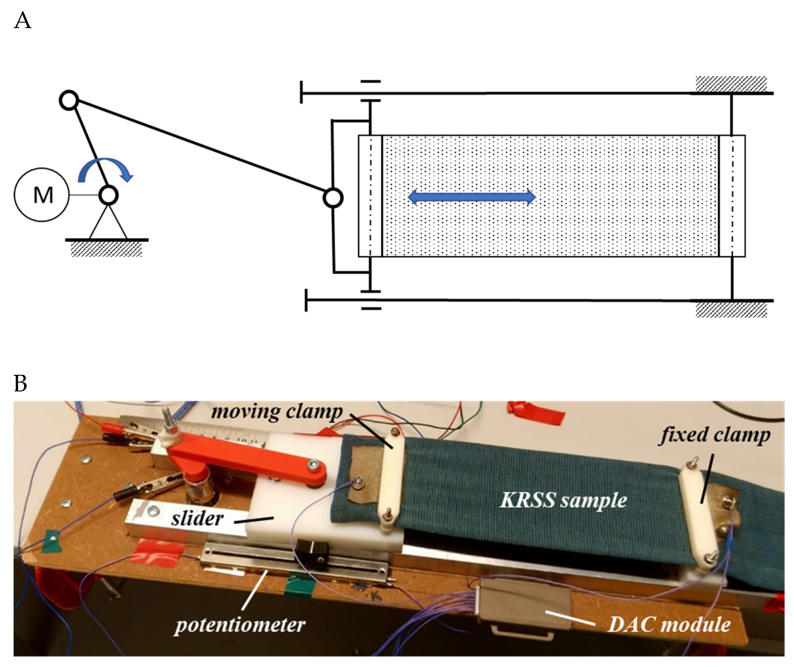 Preprints 196445 g003