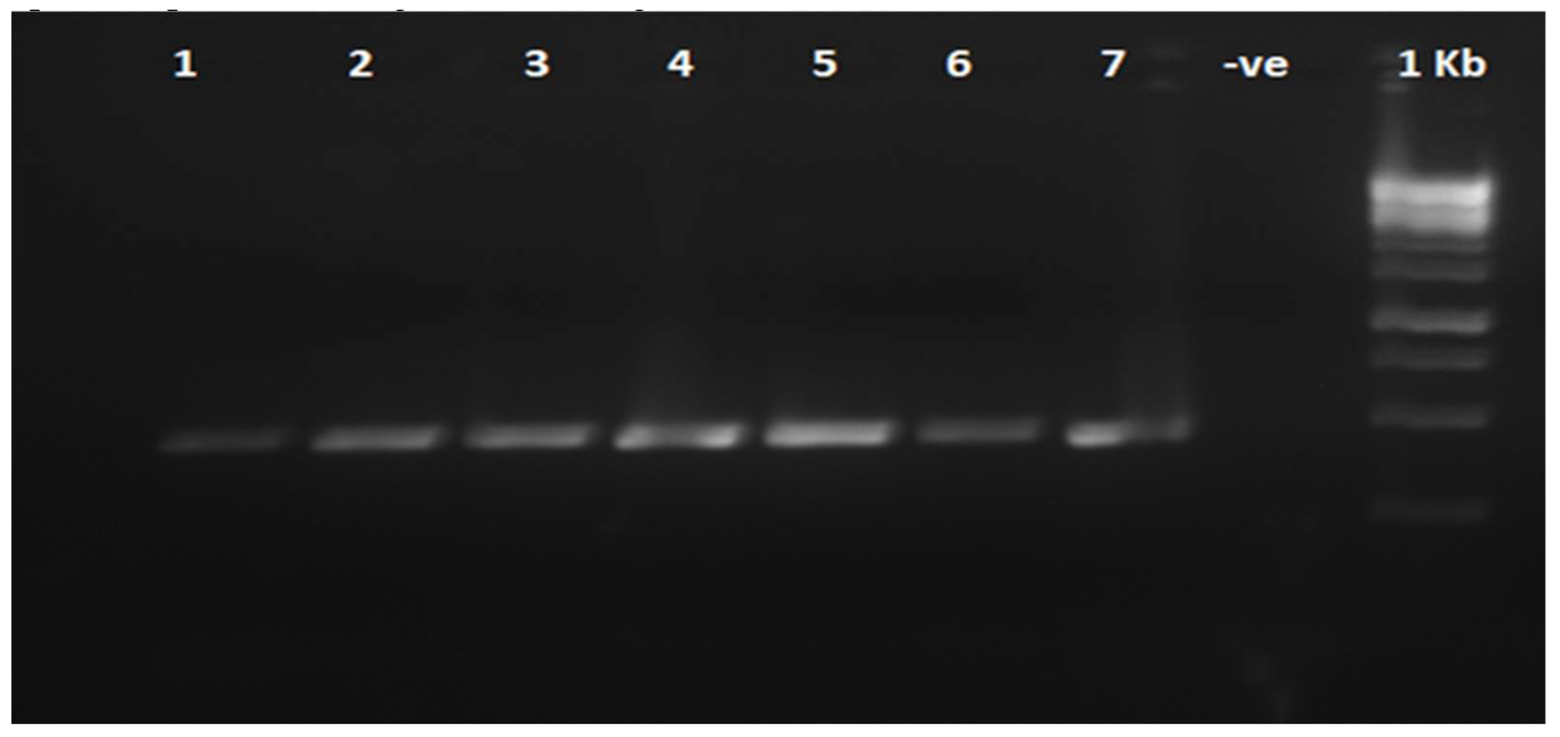 Preprints 146807 g002