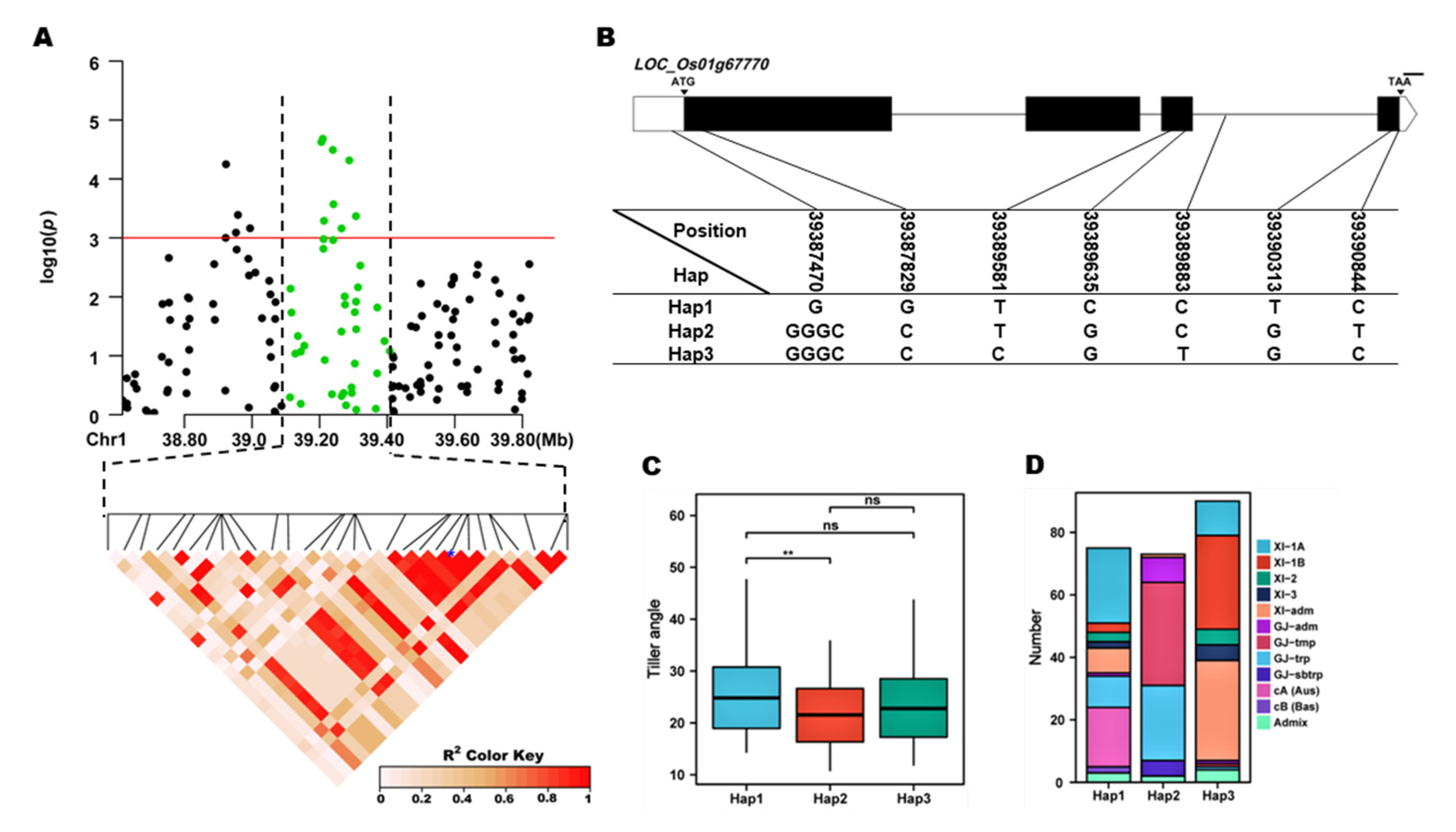 Preprints 71517 g004