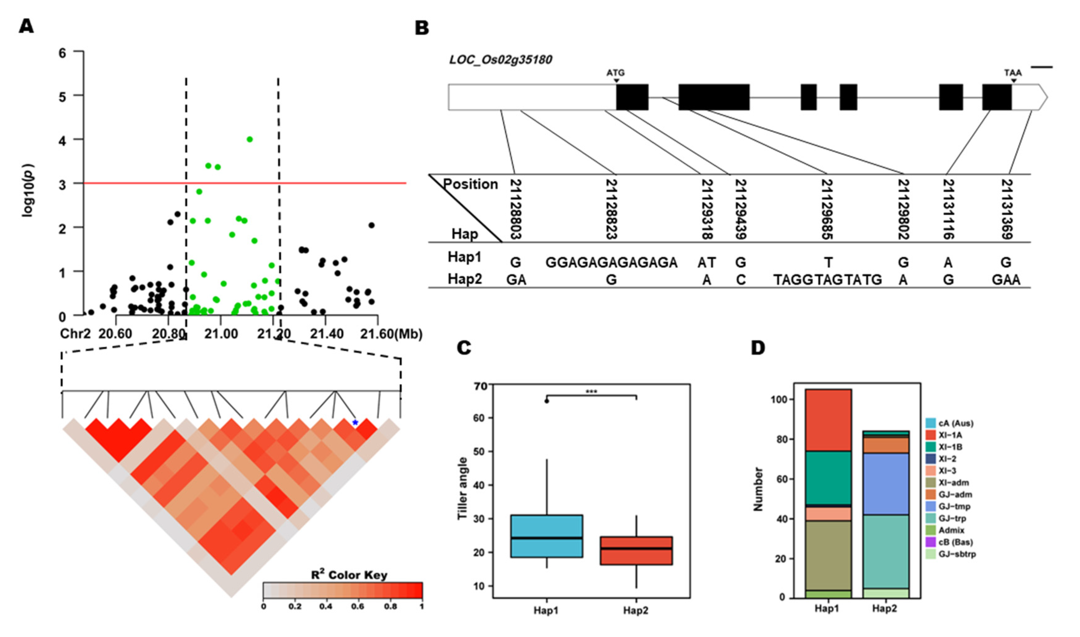 Preprints 71517 g005
