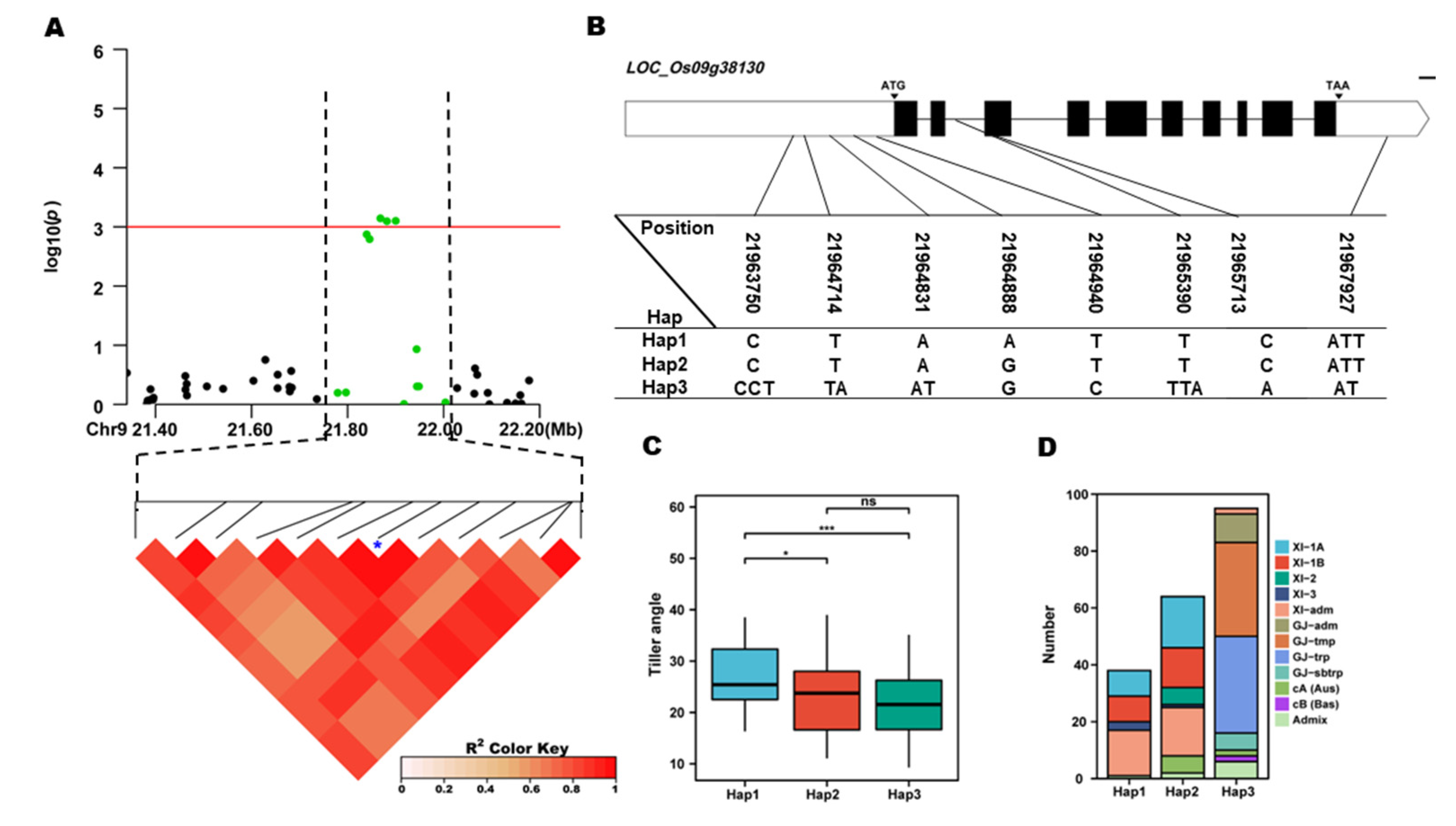 Preprints 71517 g006