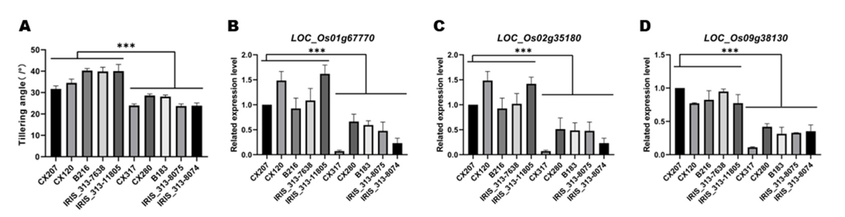Preprints 71517 g007