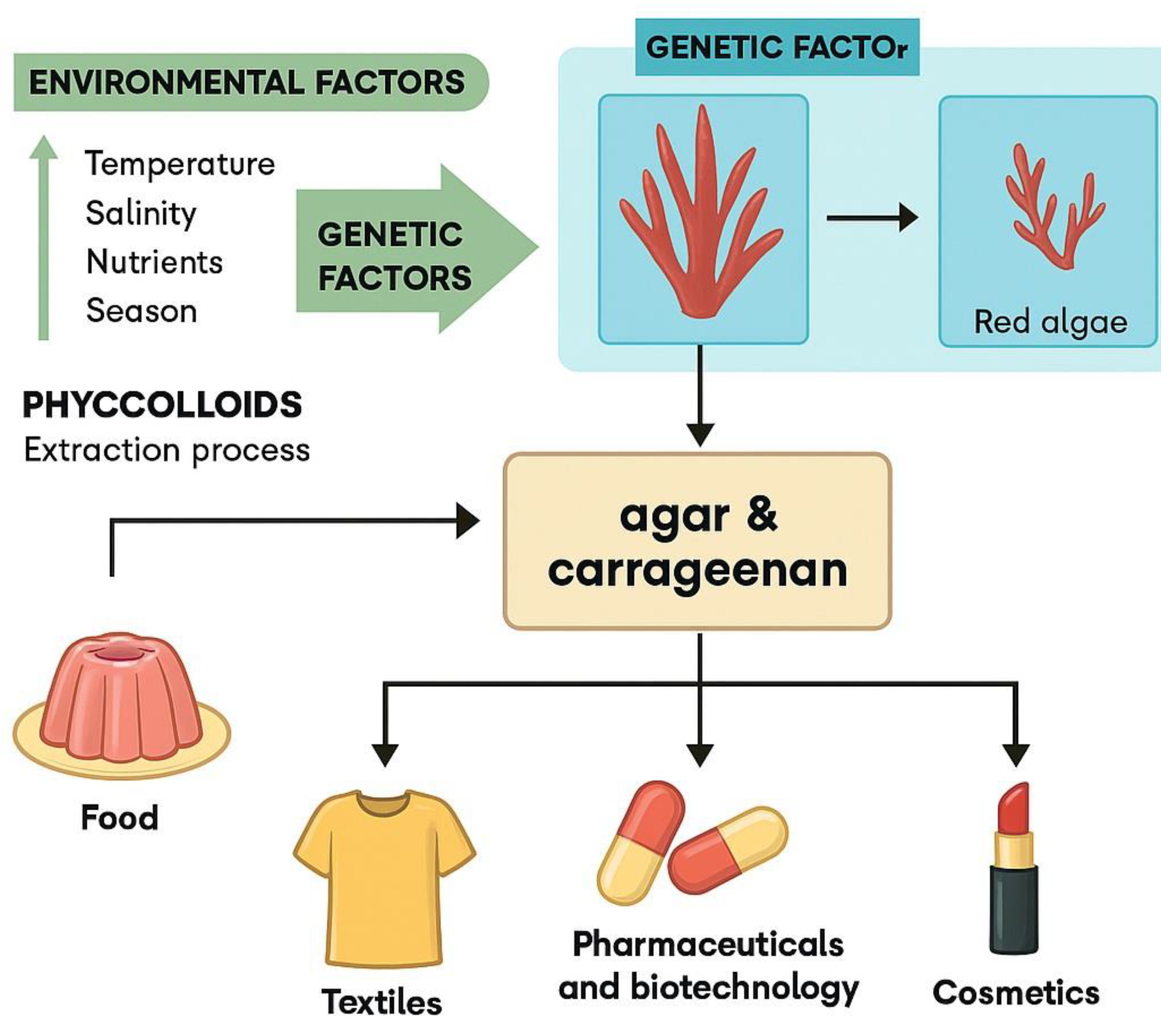 Preprints 182519 g002