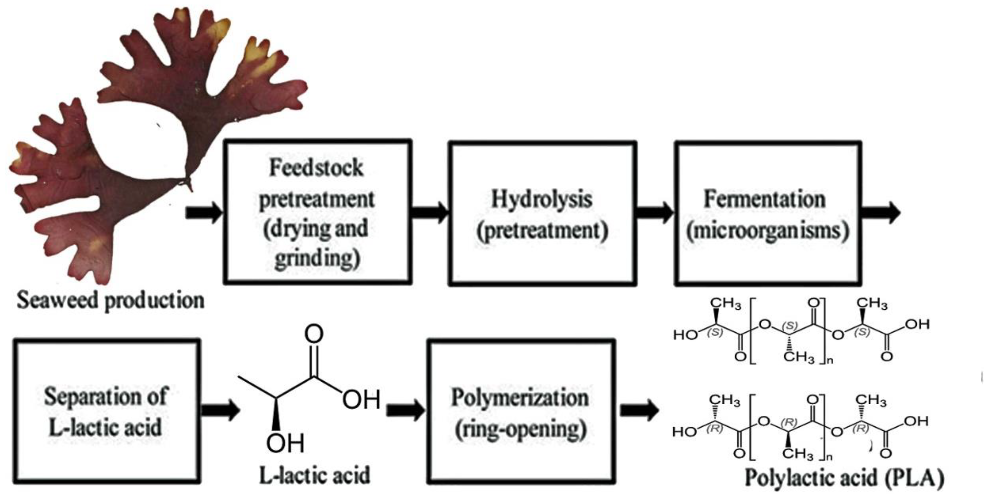 Preprints 182519 g009
