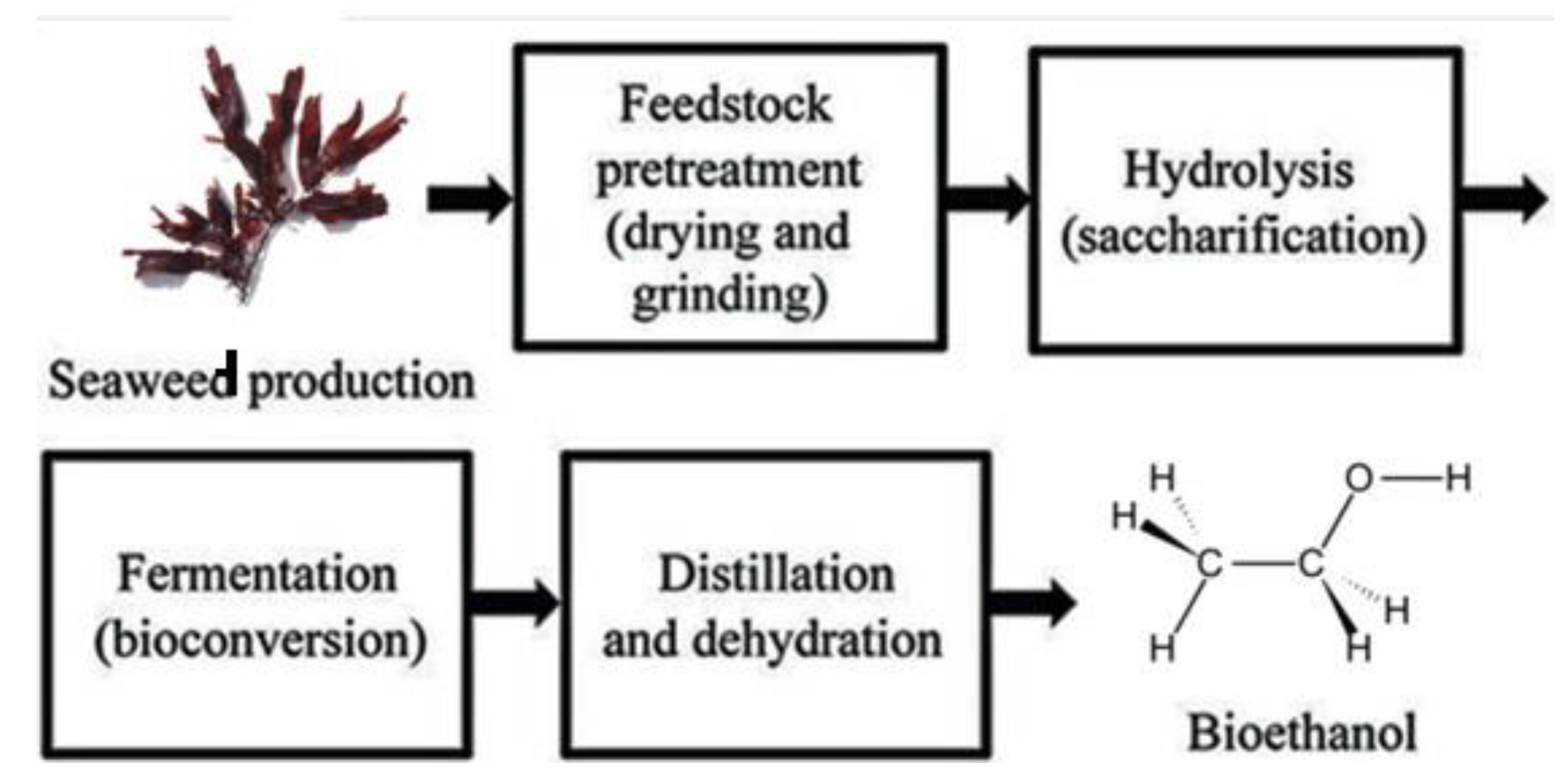 Preprints 182519 g010