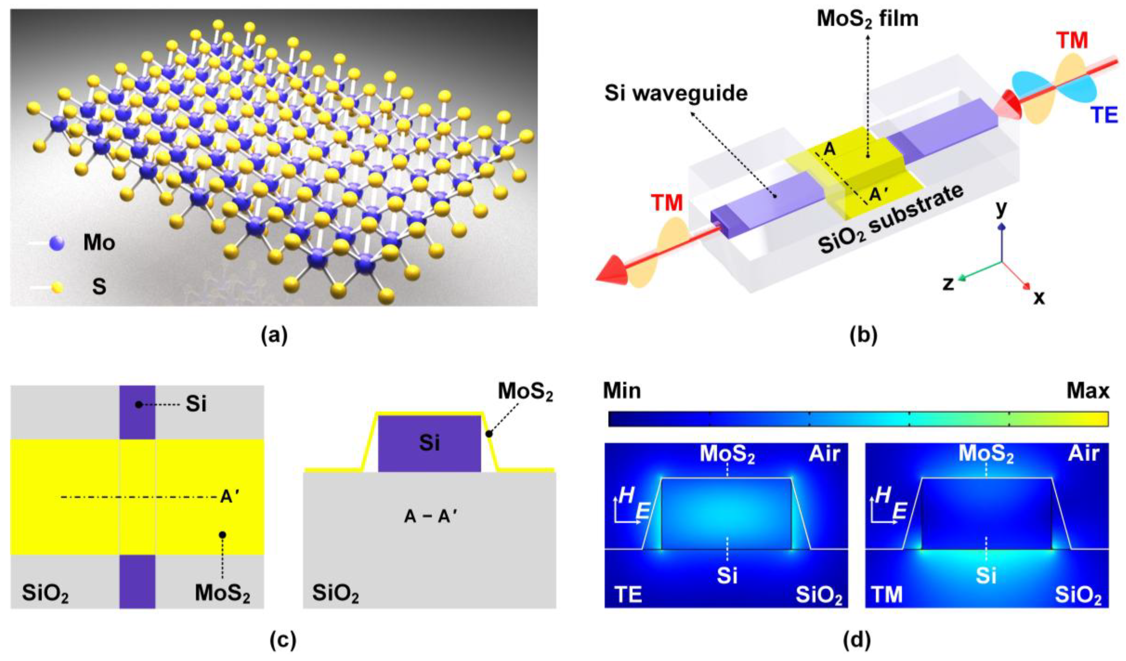Preprints 161621 g001