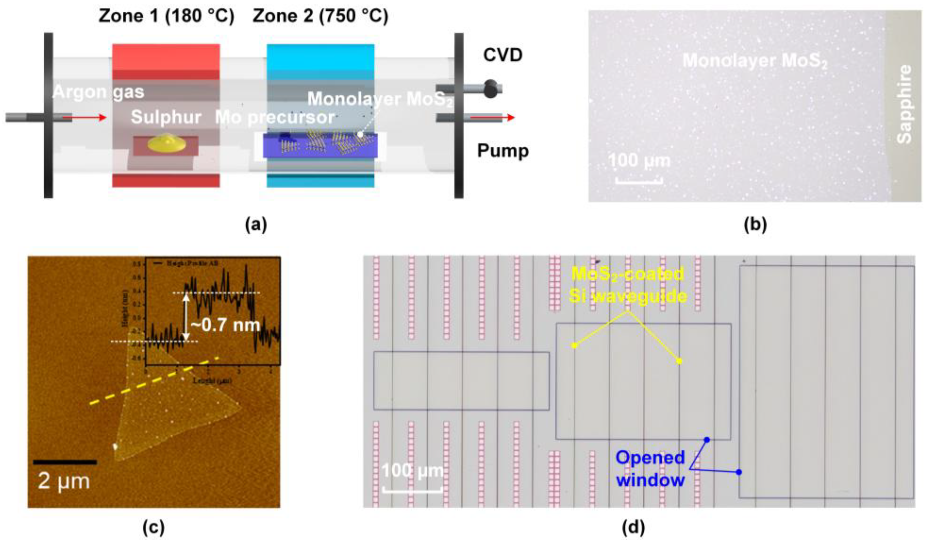 Preprints 161621 g002