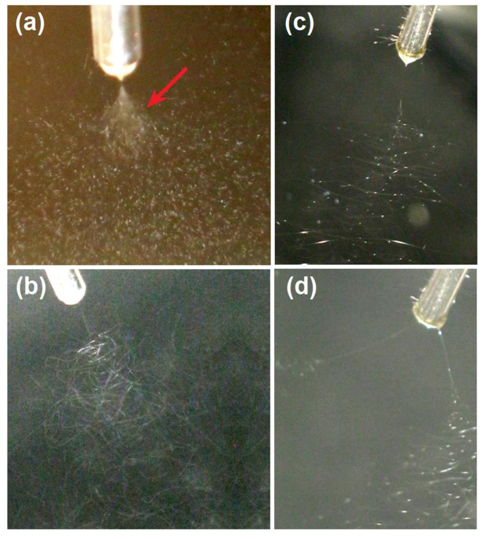 Preprints 73887 g002