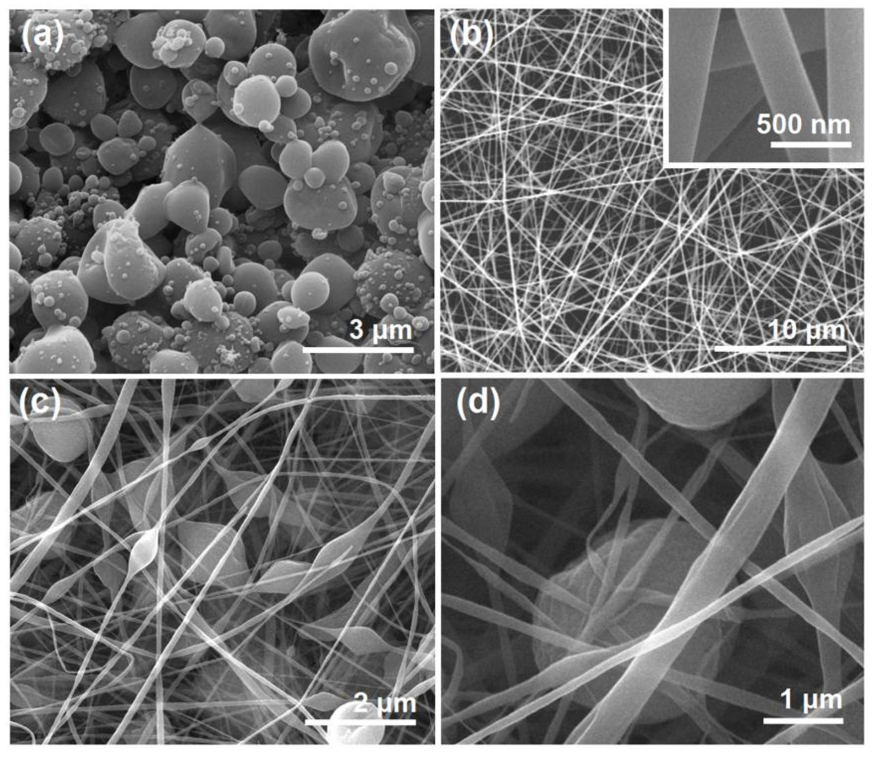 Preprints 73887 g003