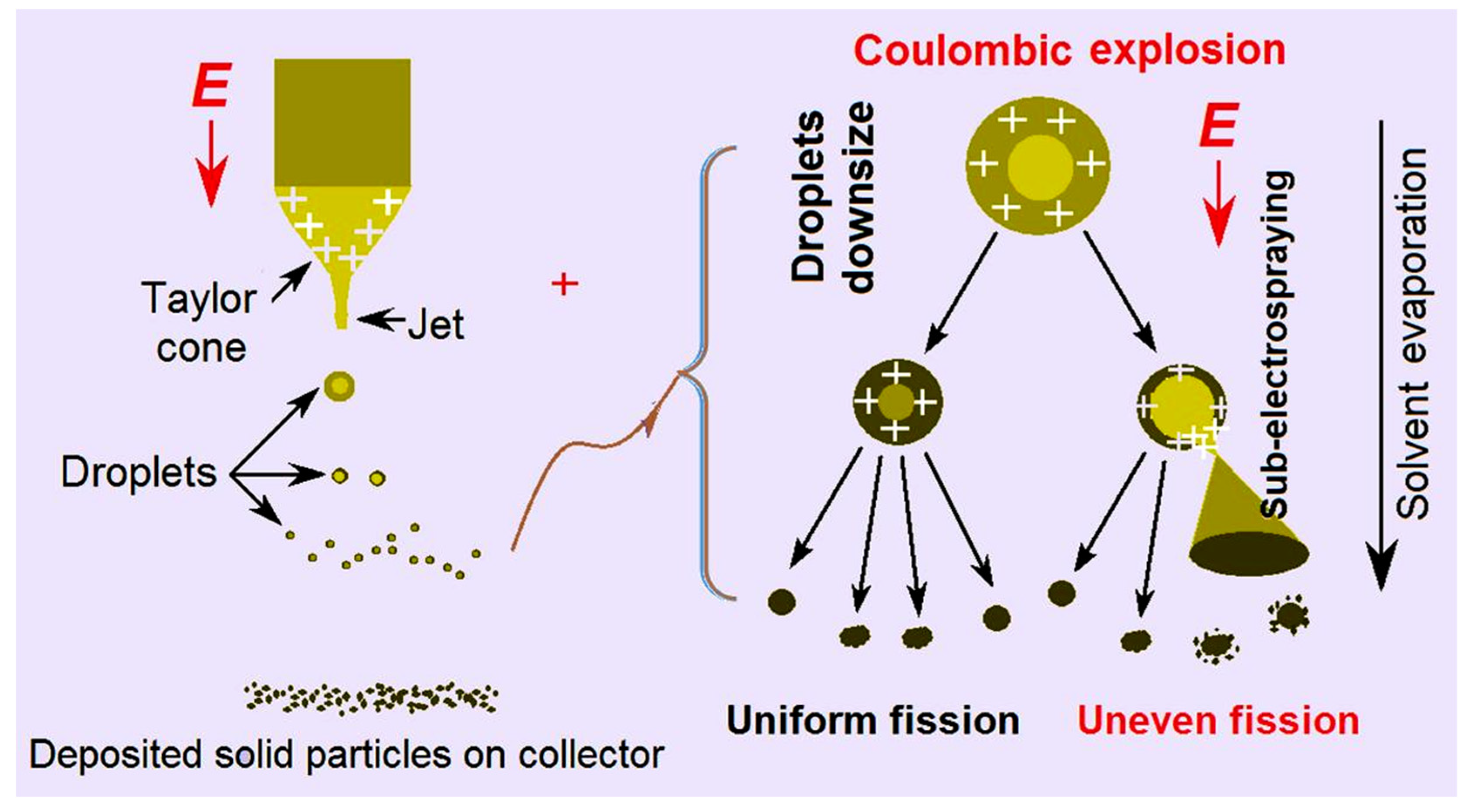 Preprints 73887 g005