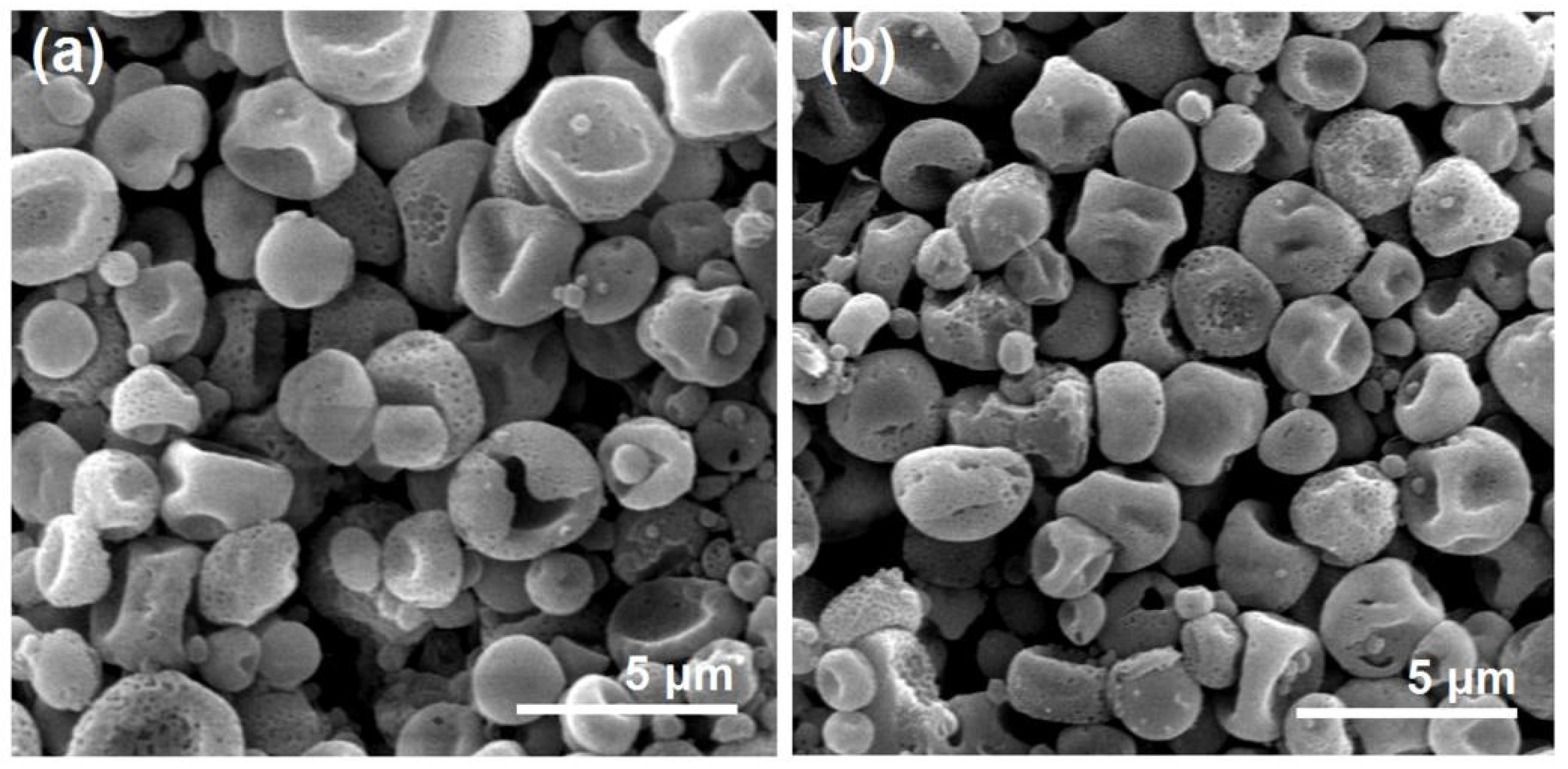 Preprints 73887 g010
