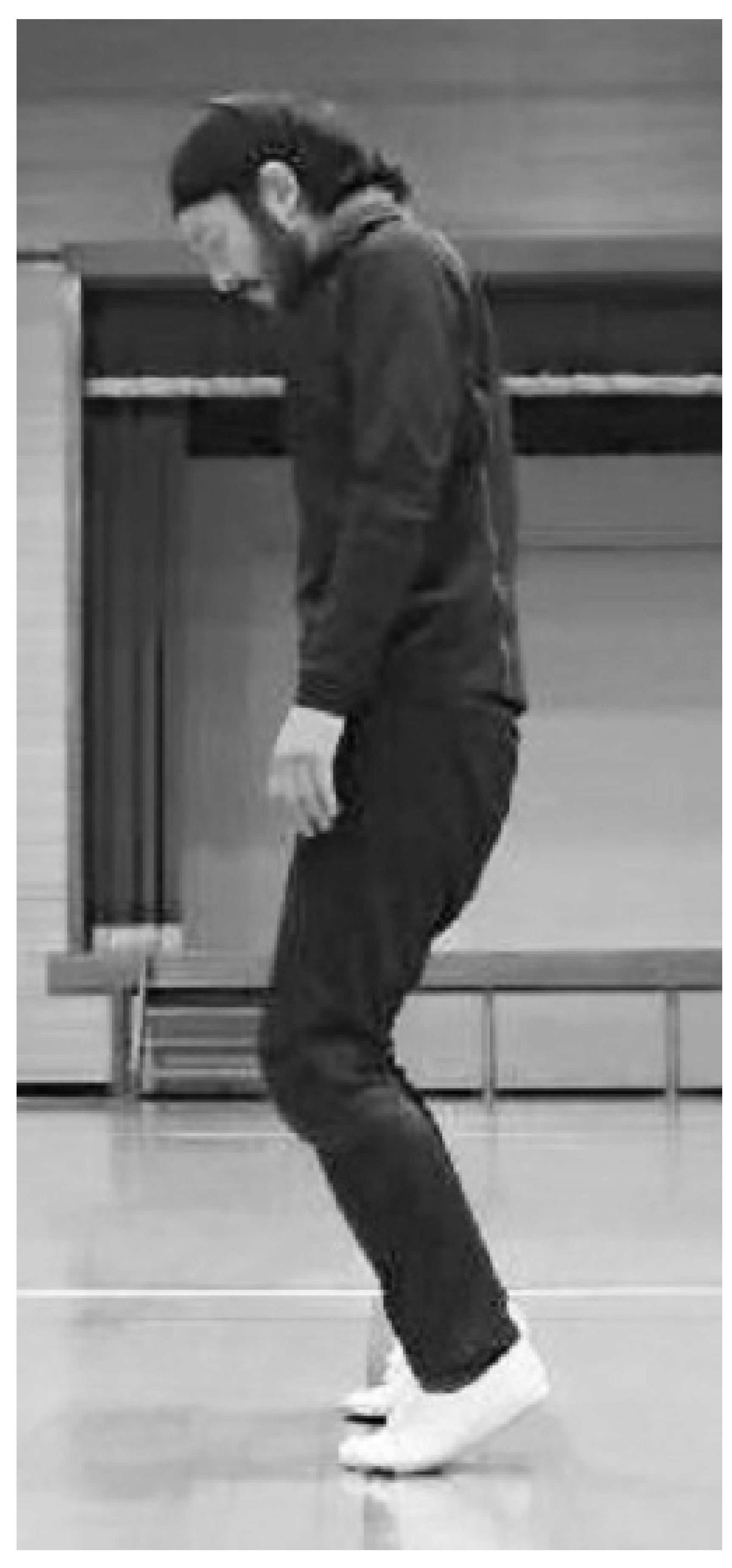 Preprints 139000 g001