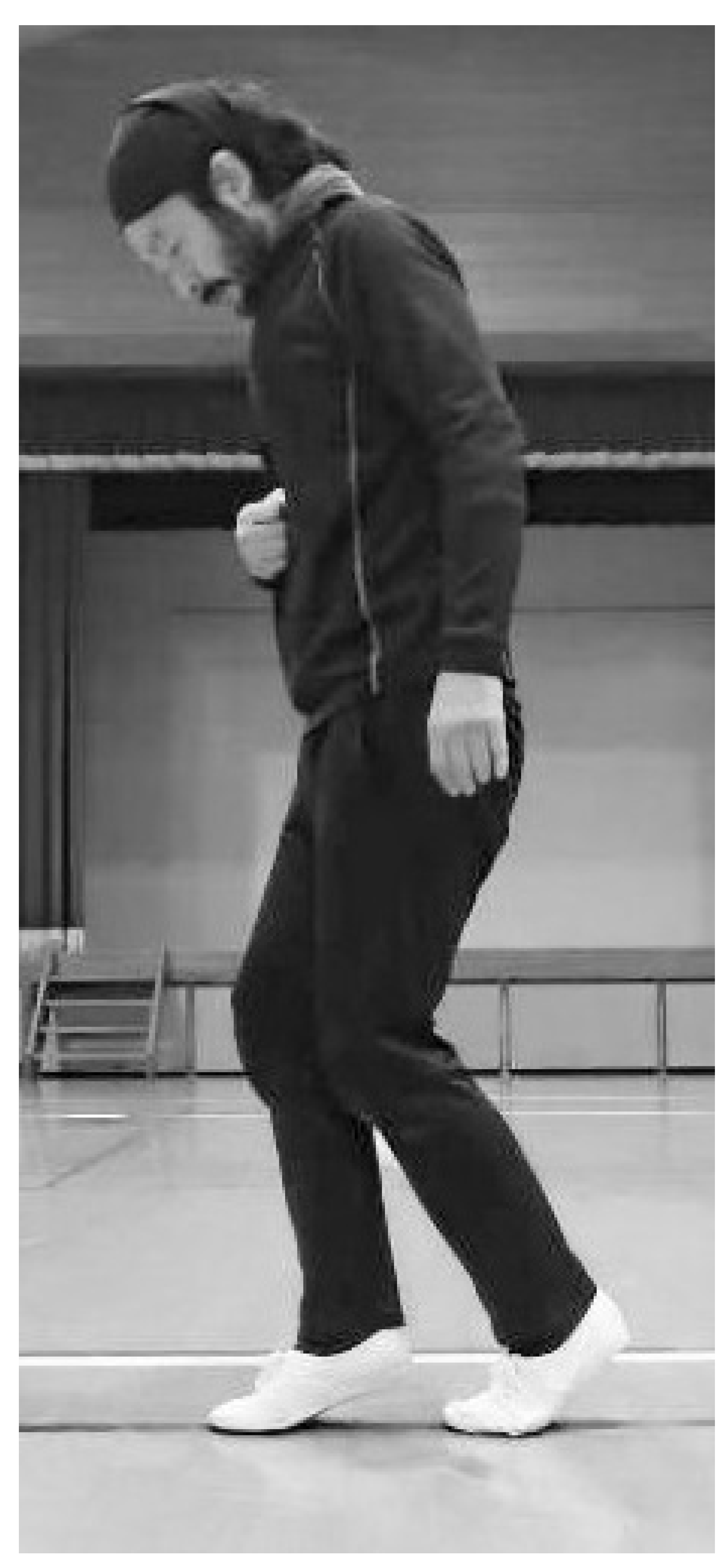 Preprints 139000 g002