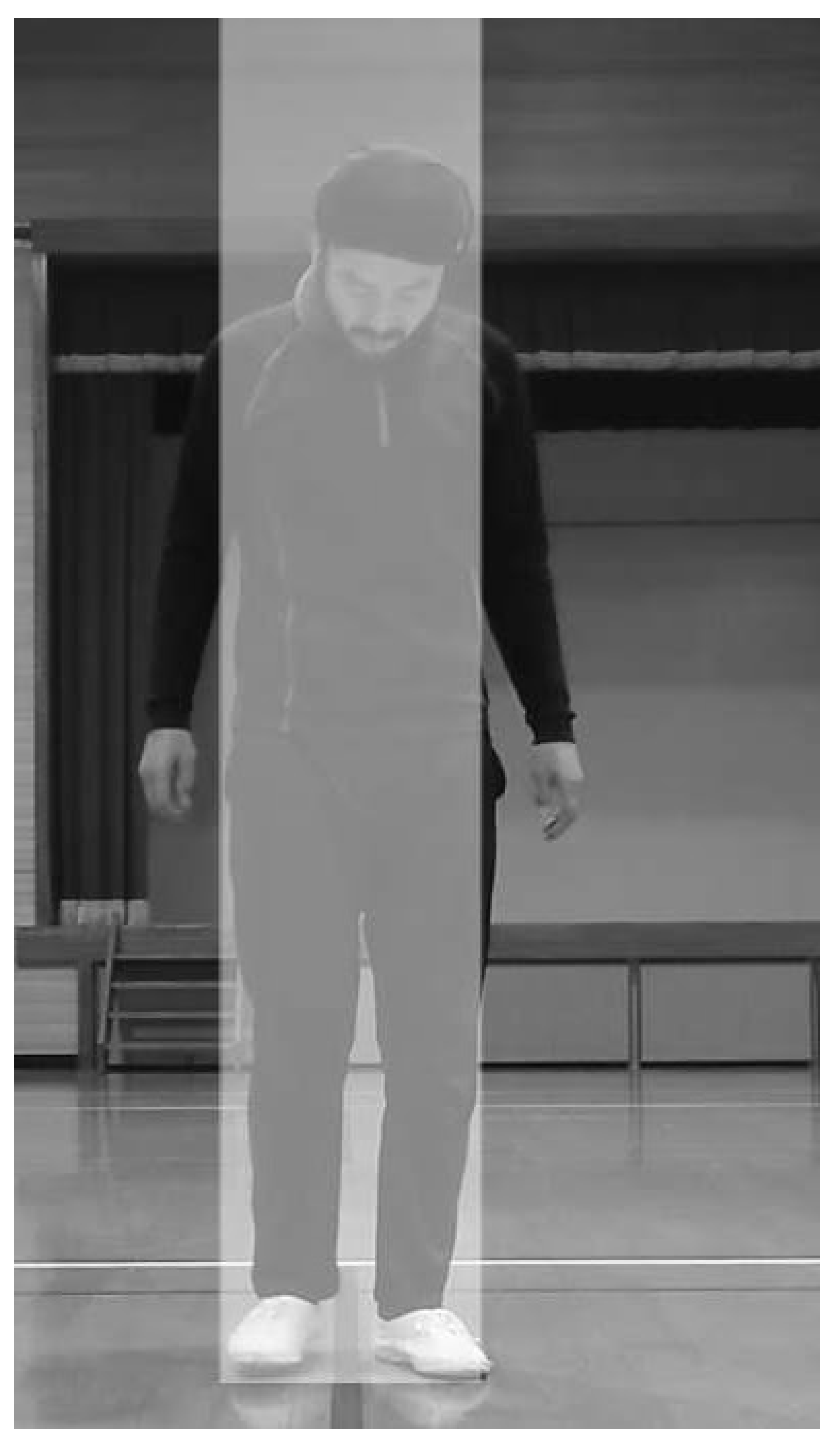 Preprints 139000 g003