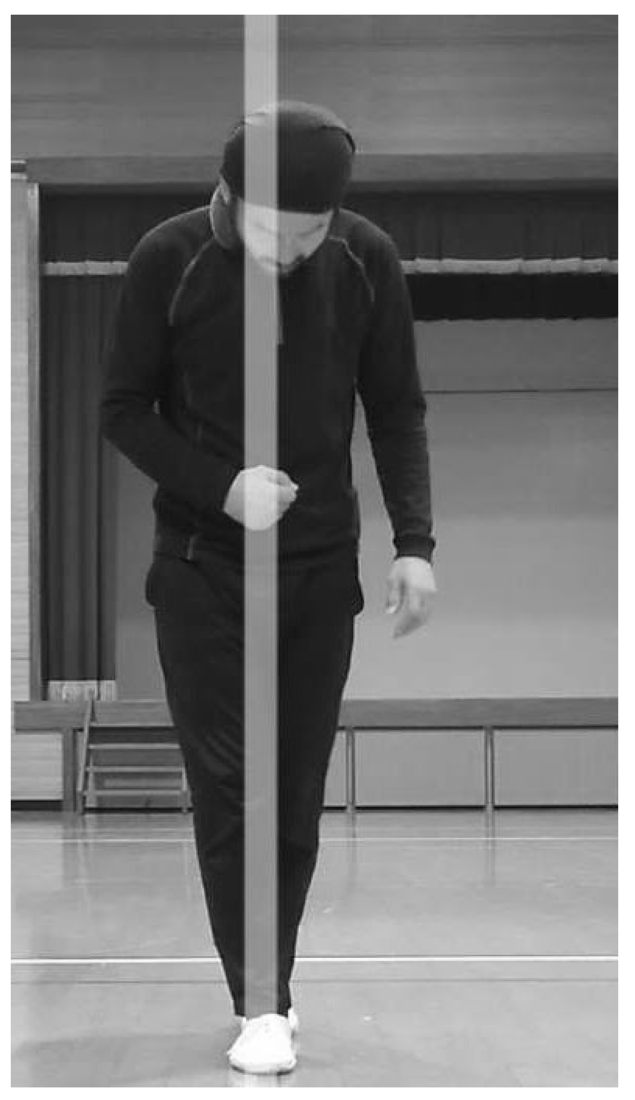 Preprints 139000 g004