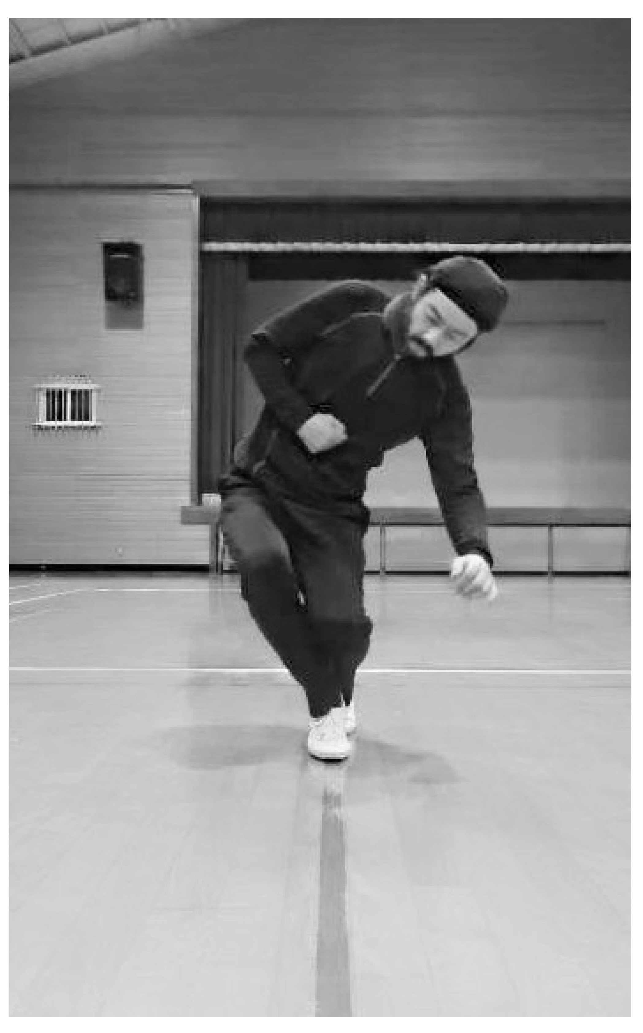 Preprints 139000 g006