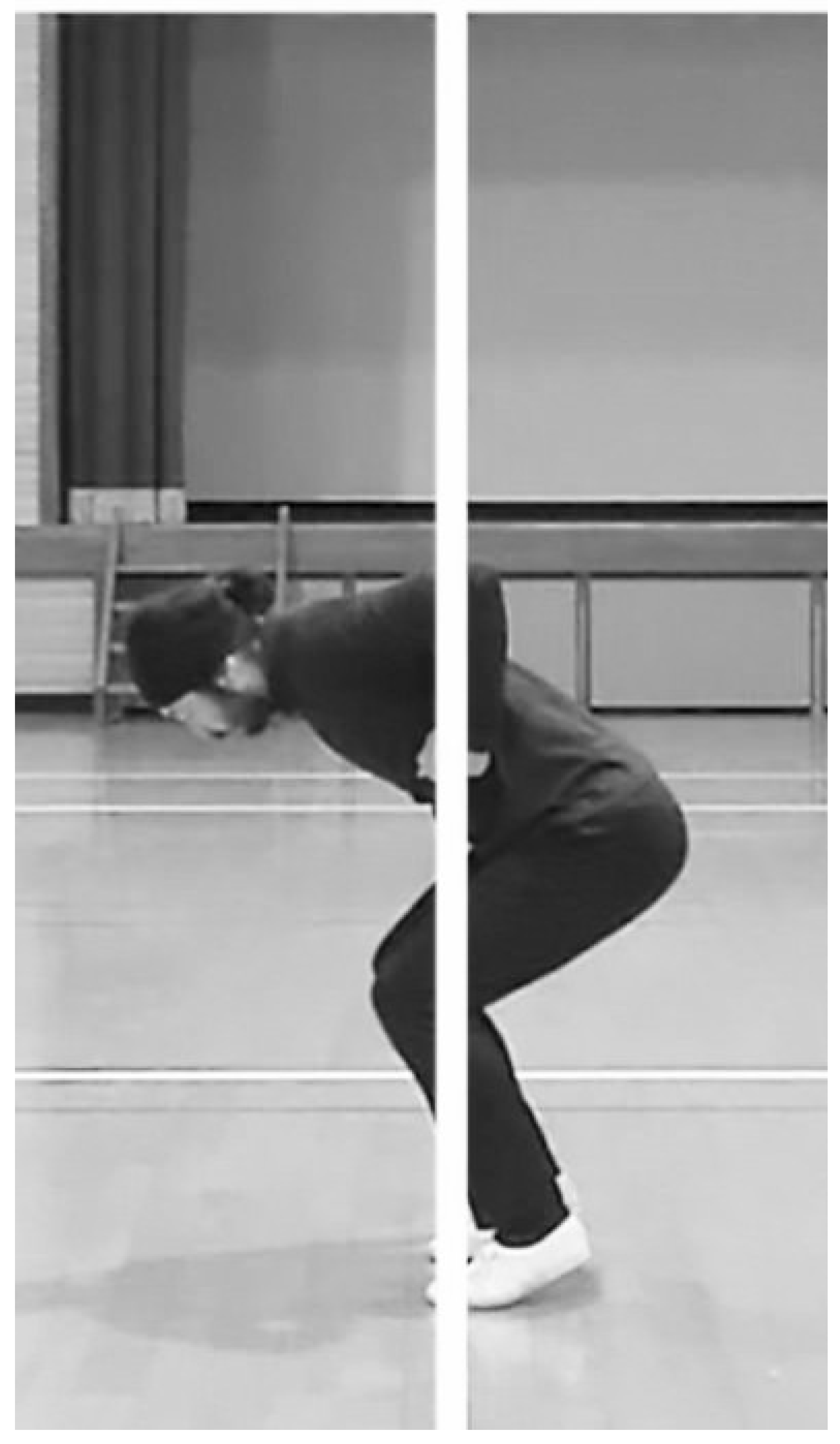 Preprints 139000 g008