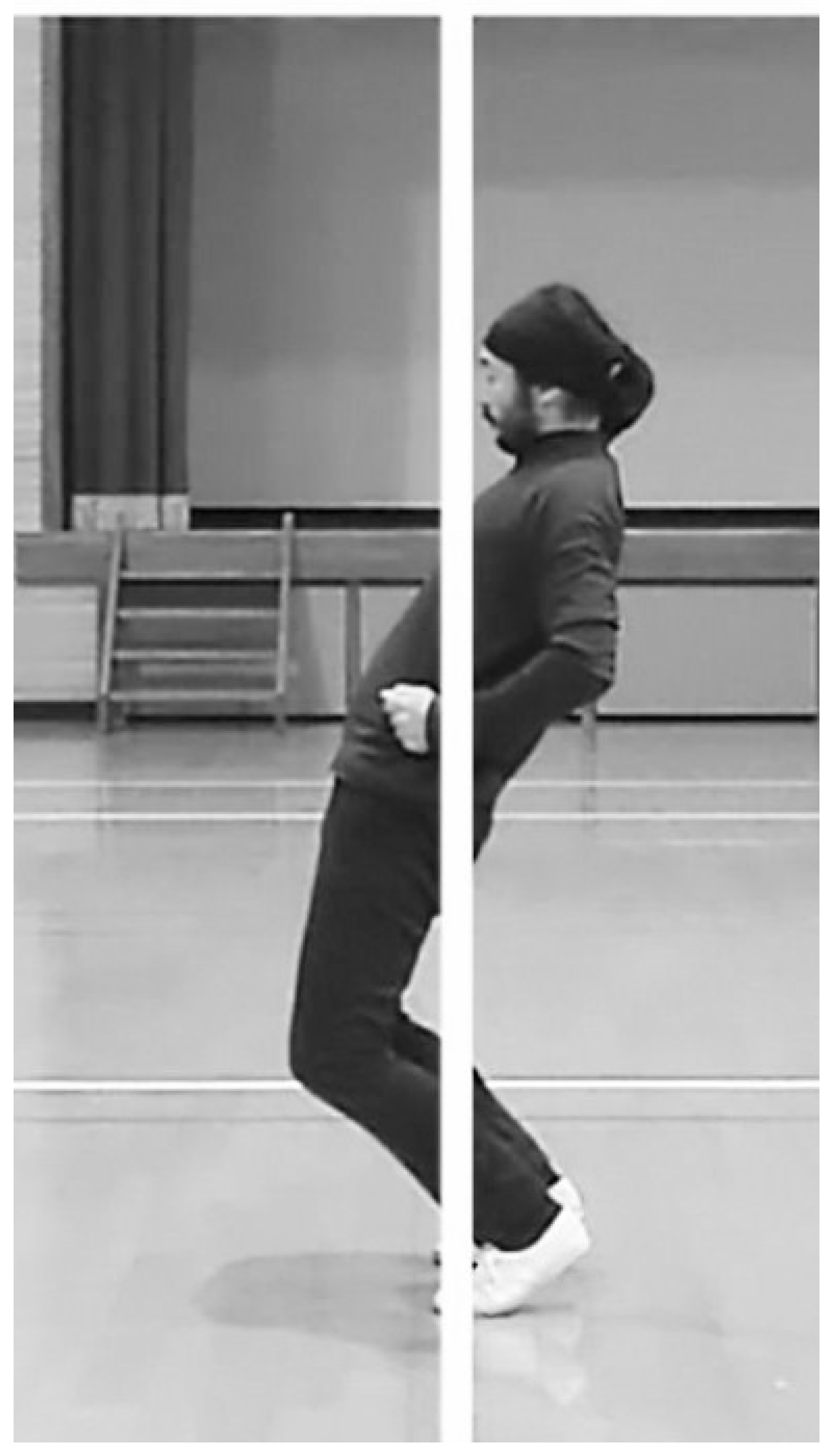 Preprints 139000 g009