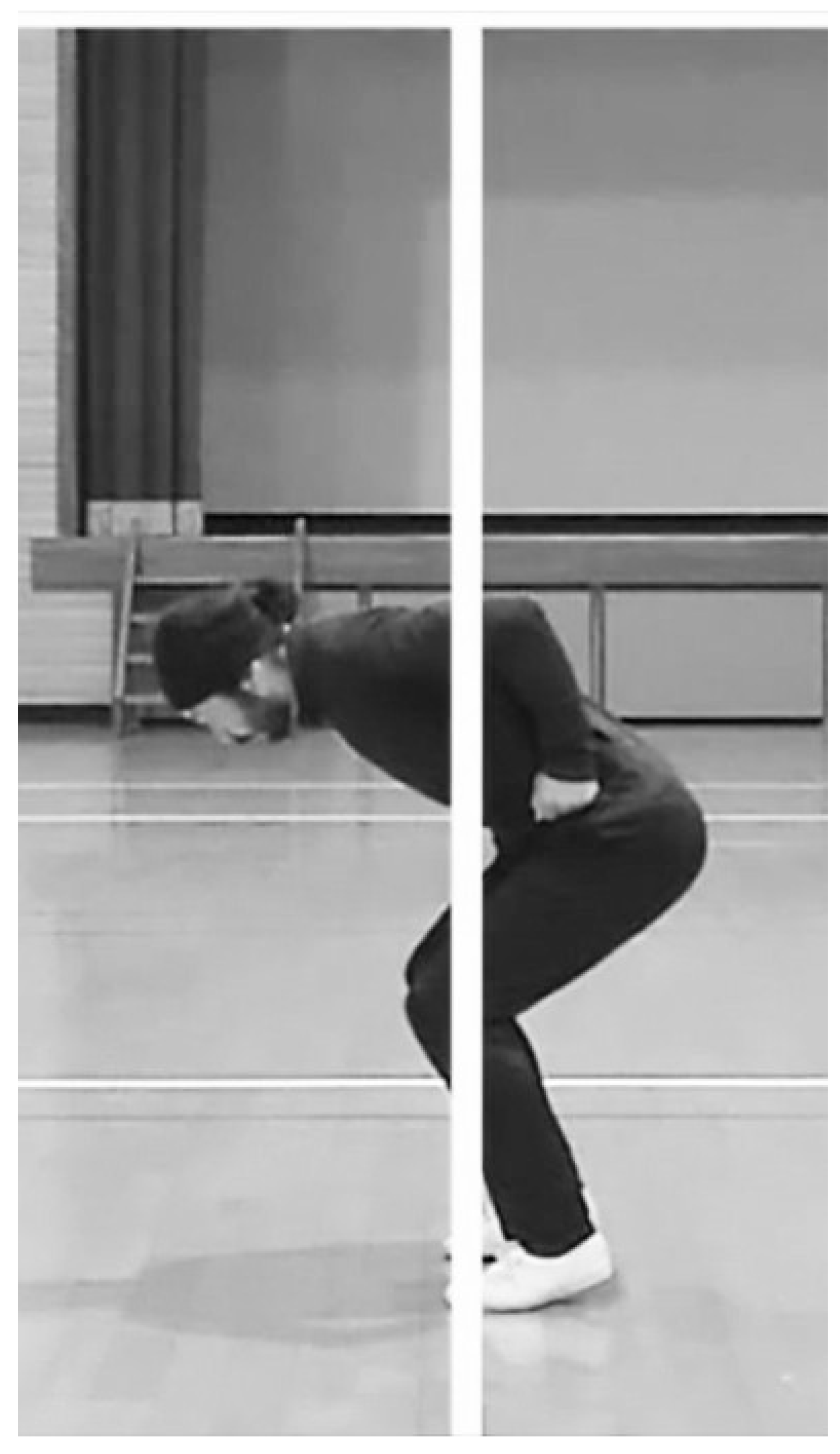 Preprints 139000 g010