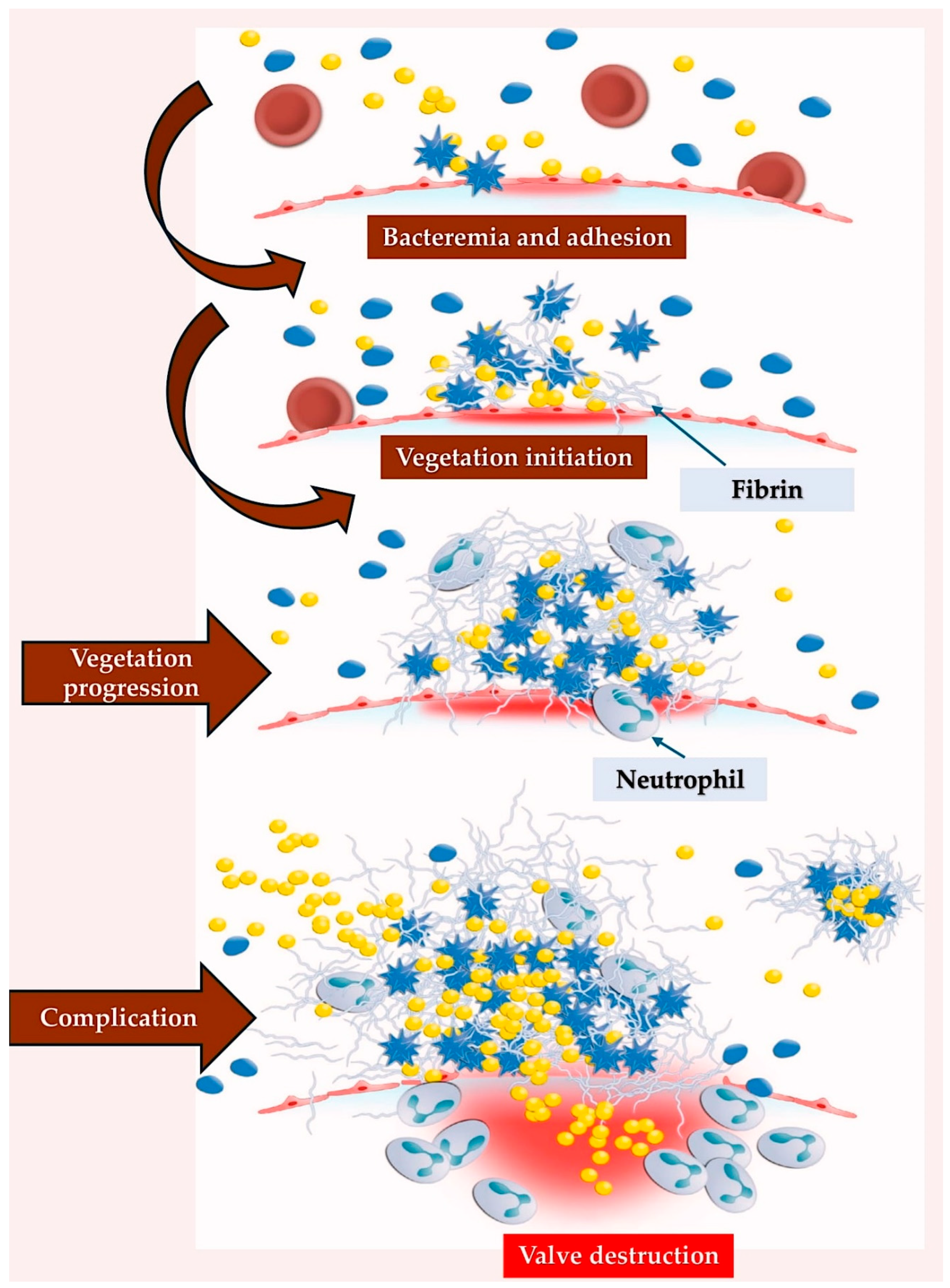 Preprints 154692 g003