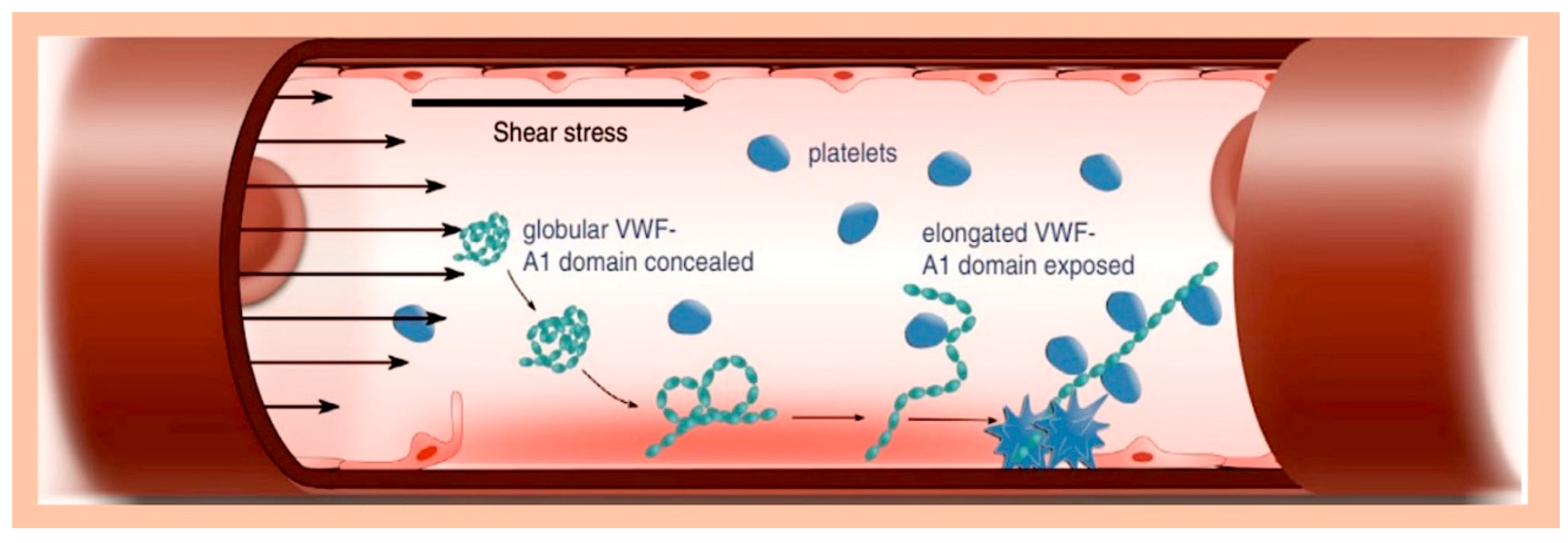 Preprints 154692 g004