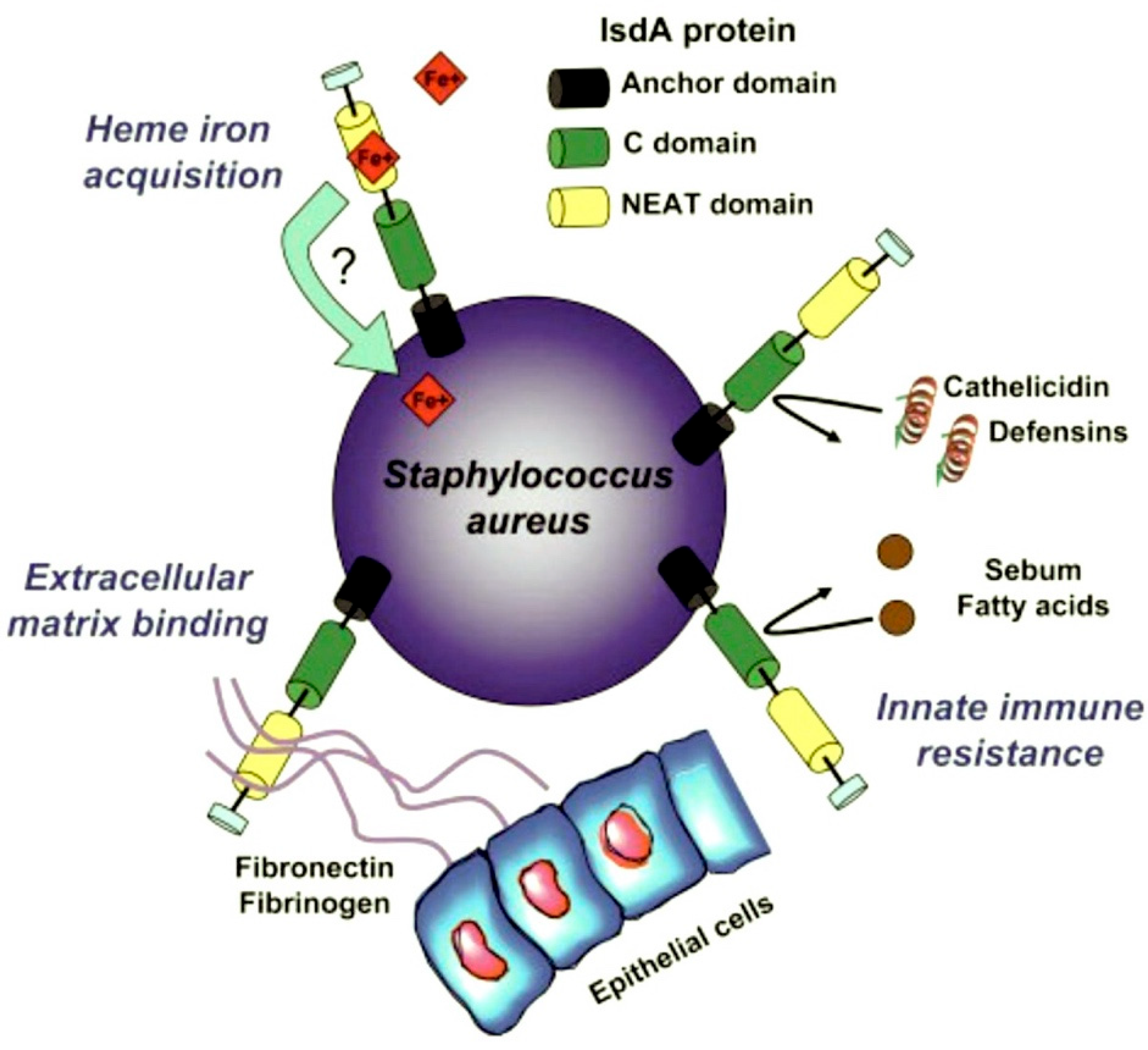 Preprints 154692 g005