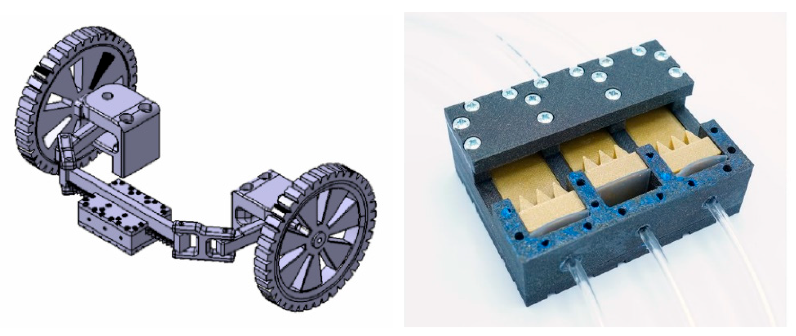 Preprints 158179 g005