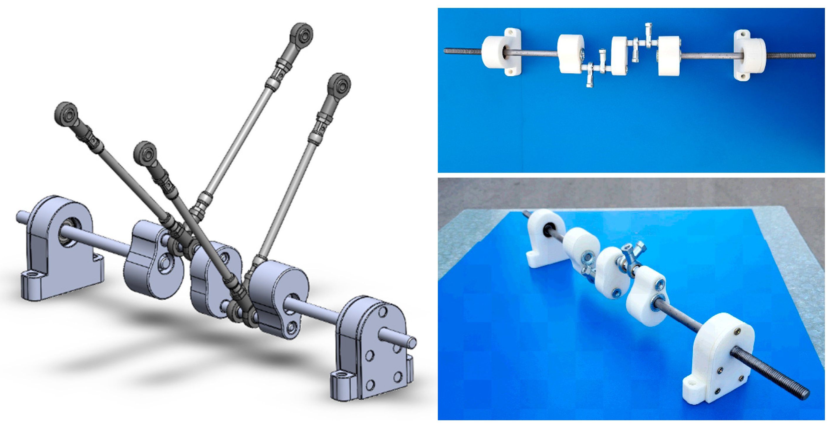 Preprints 158179 g006