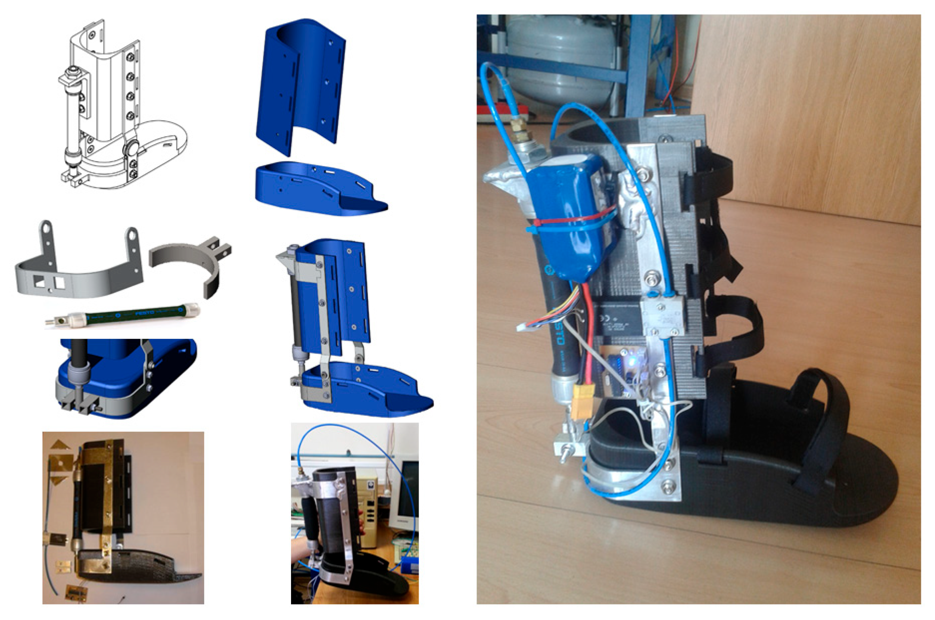 Preprints 158179 g011