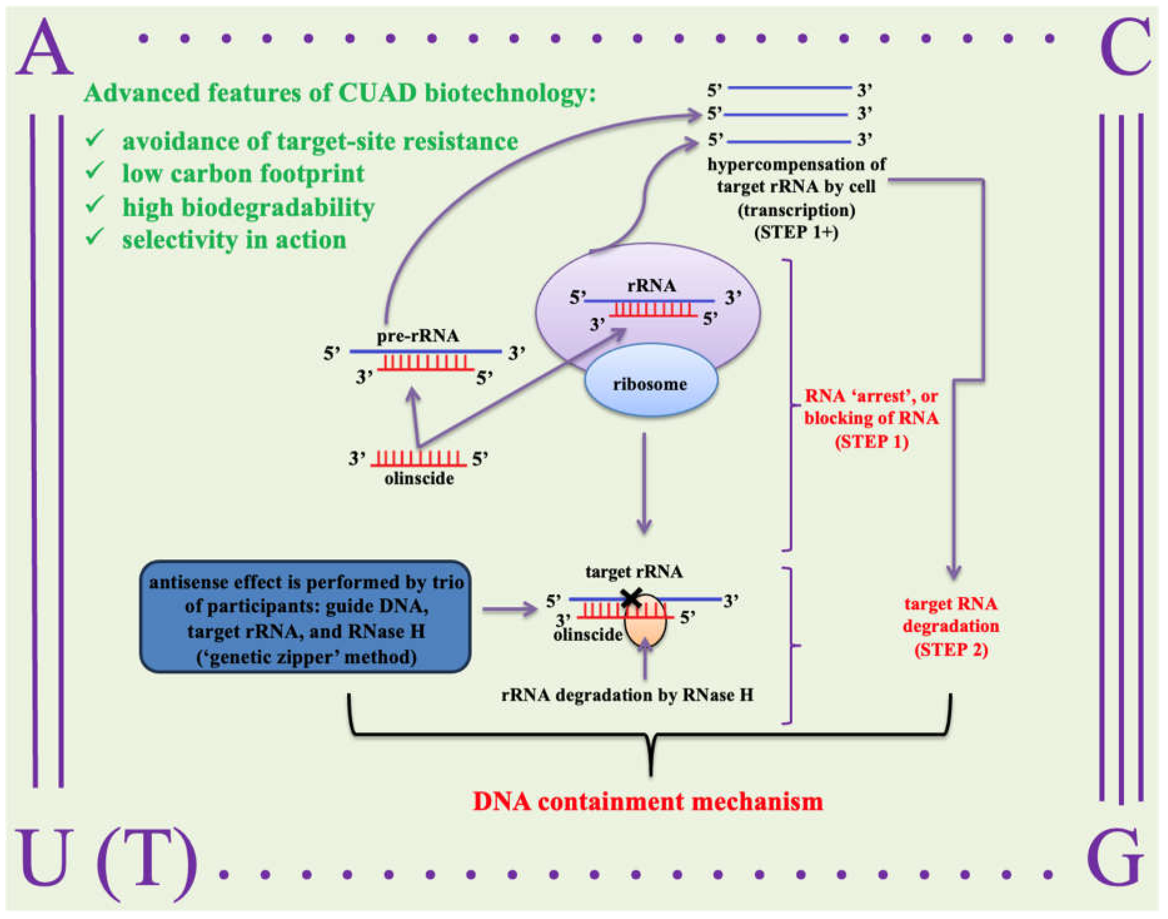 Preprints 156304 g003