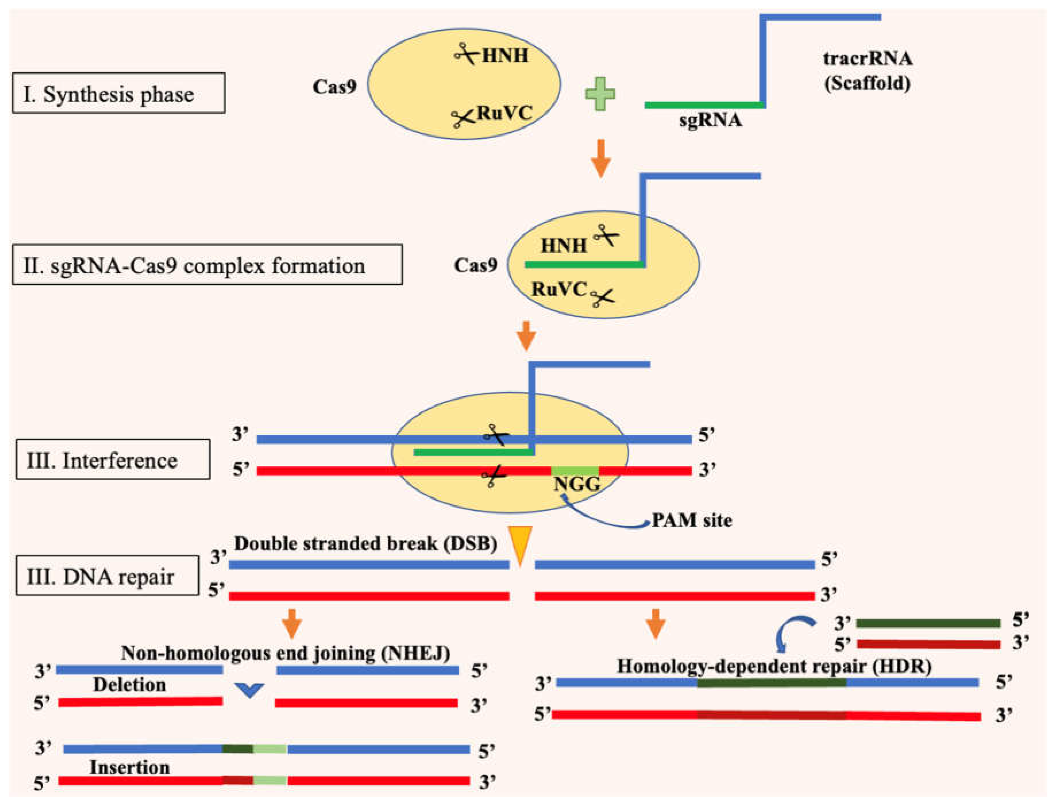 Preprints 156304 g004