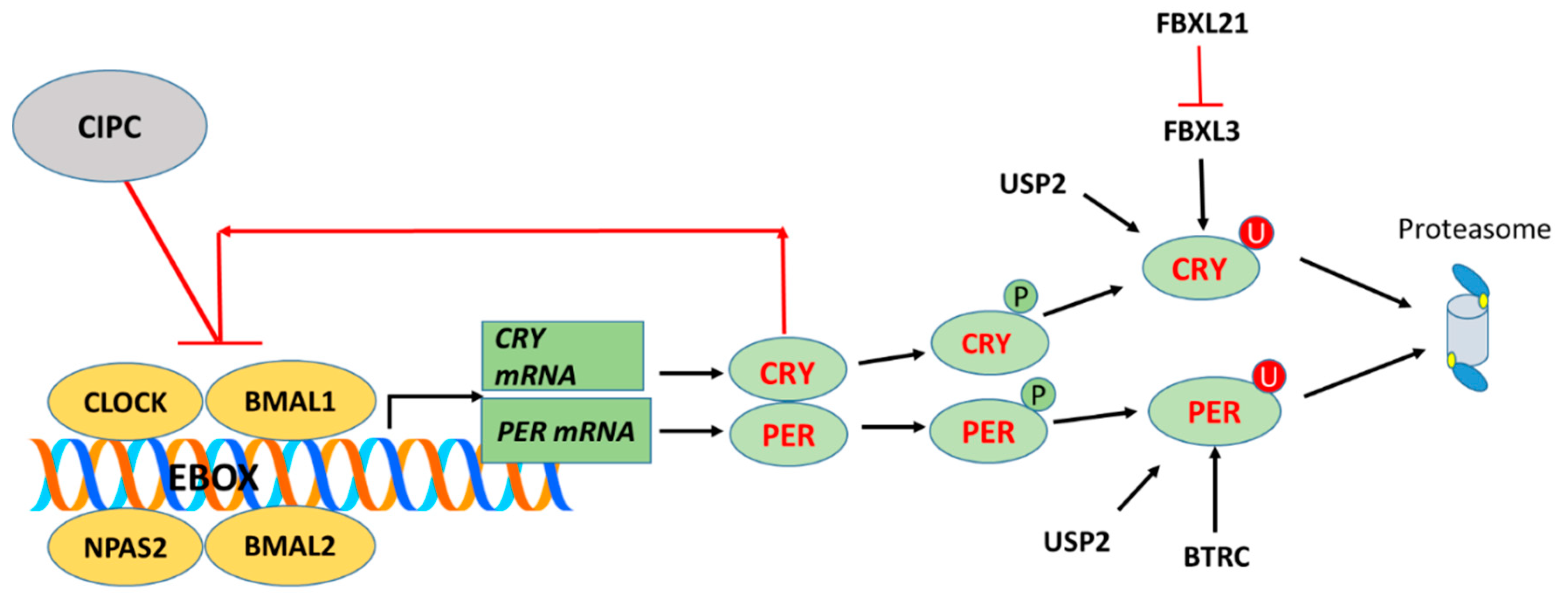 Preprints 142891 g001