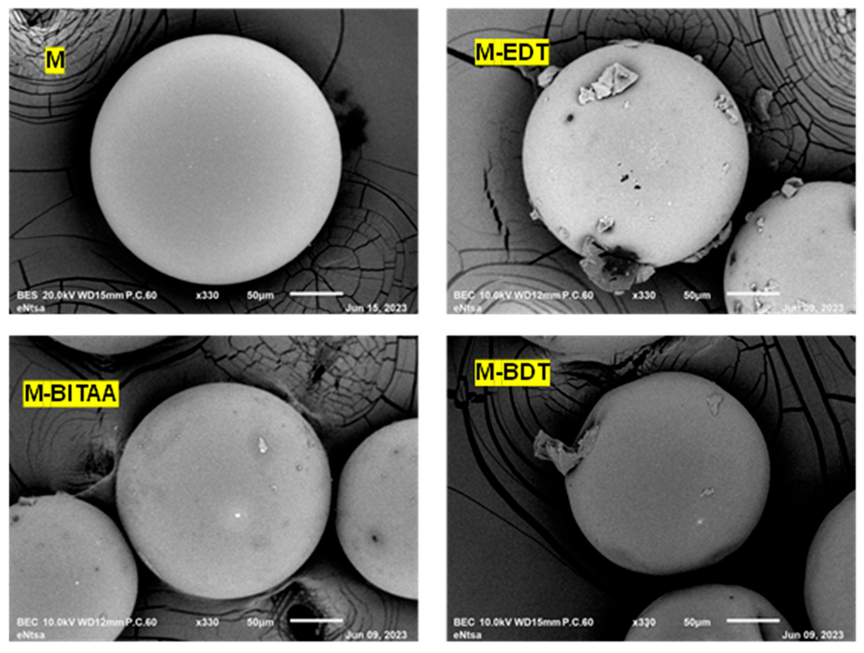 Preprints 157920 g003