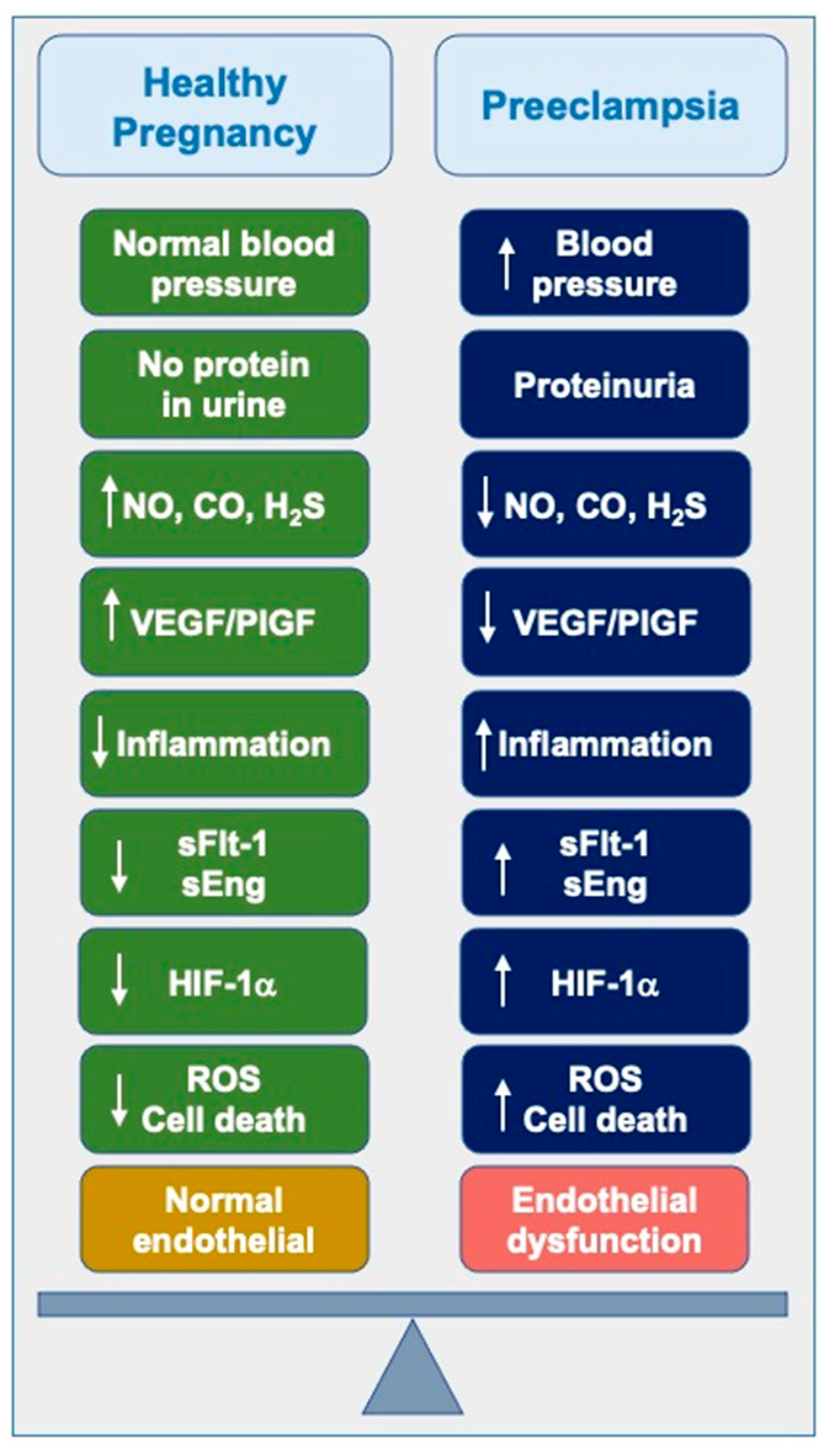 Preprints 143661 g001