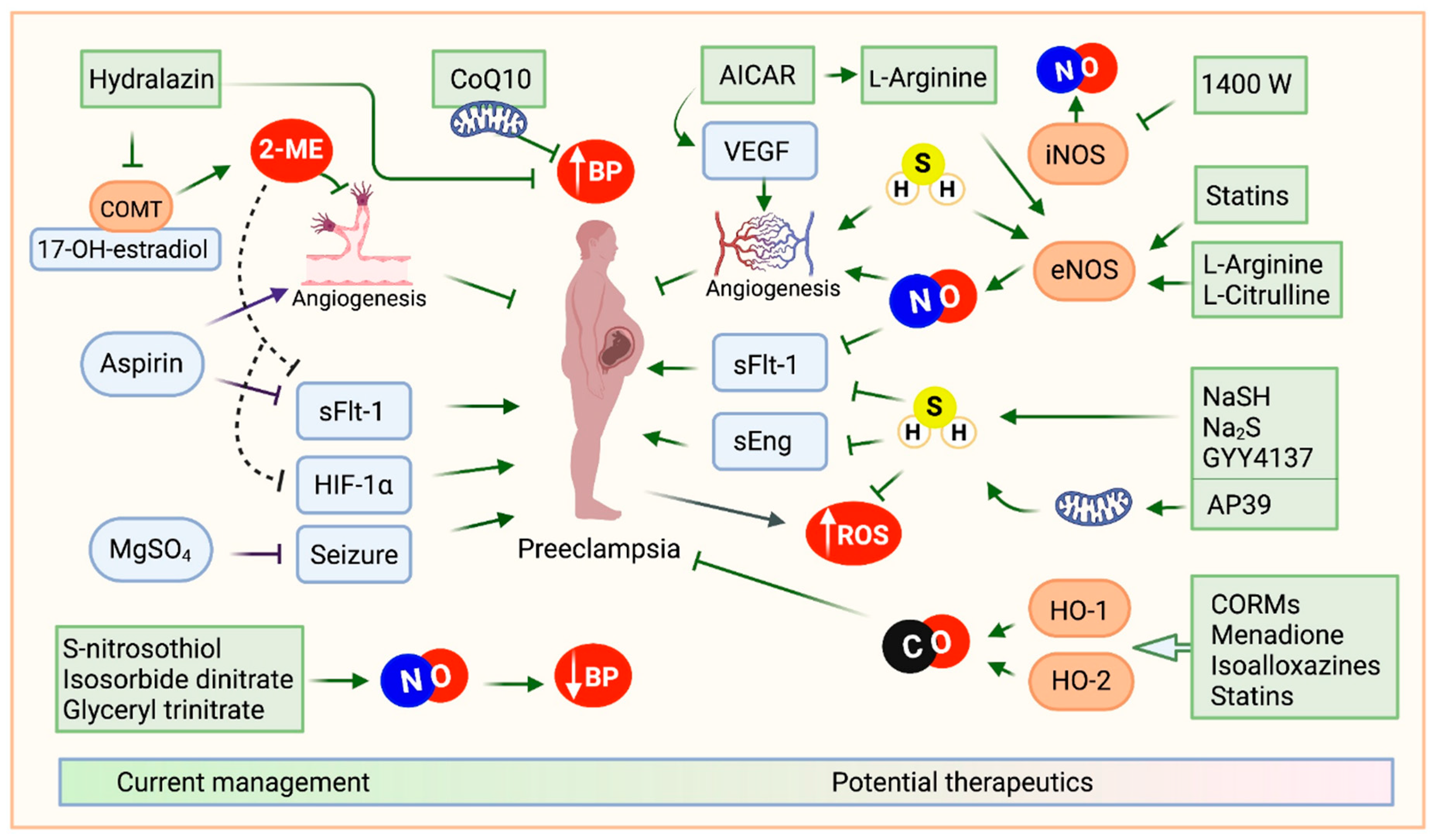Preprints 143661 g002