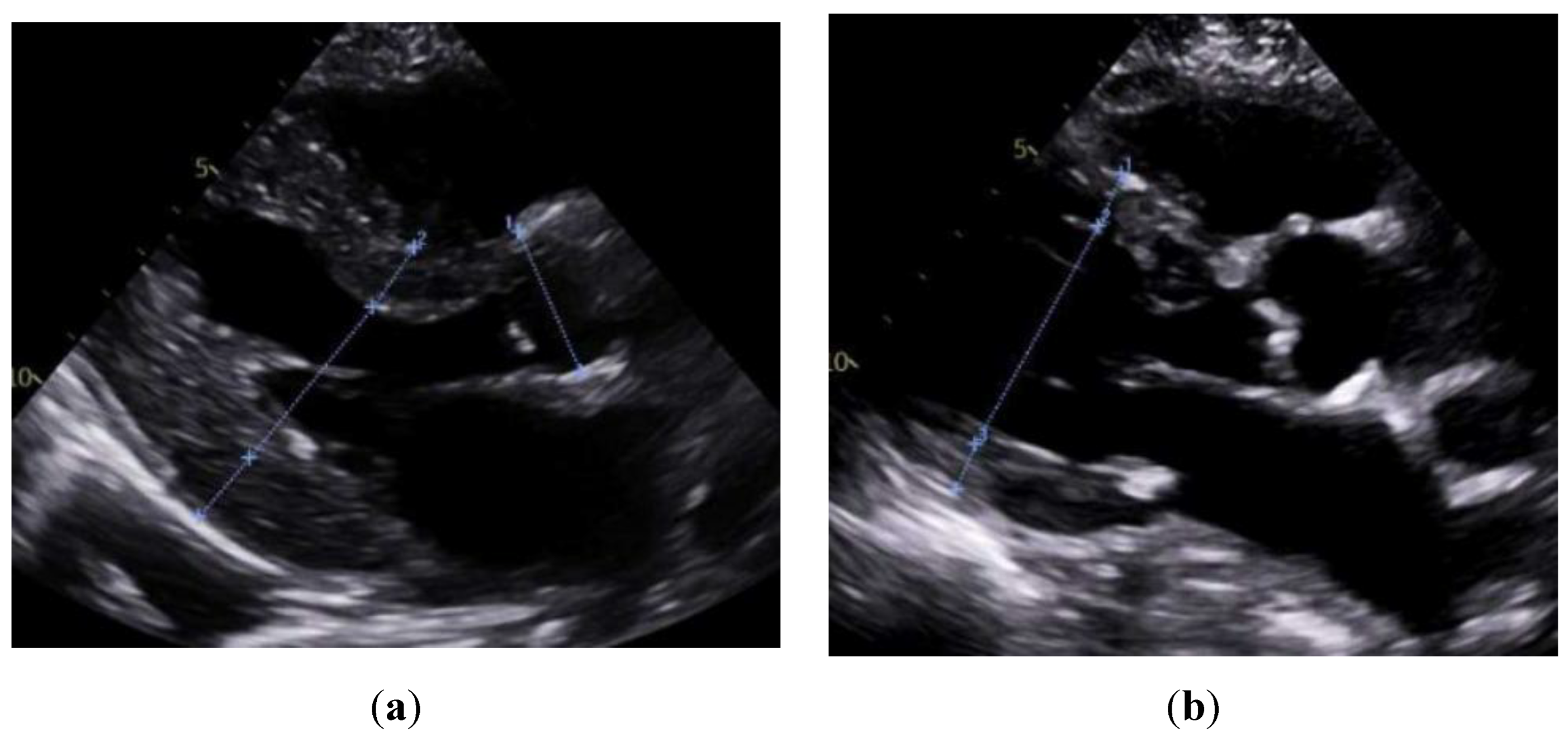 Preprints 167069 g001