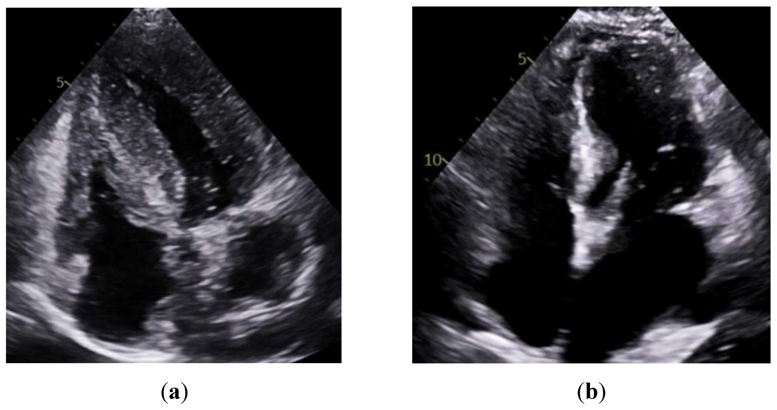 Preprints 167069 g002