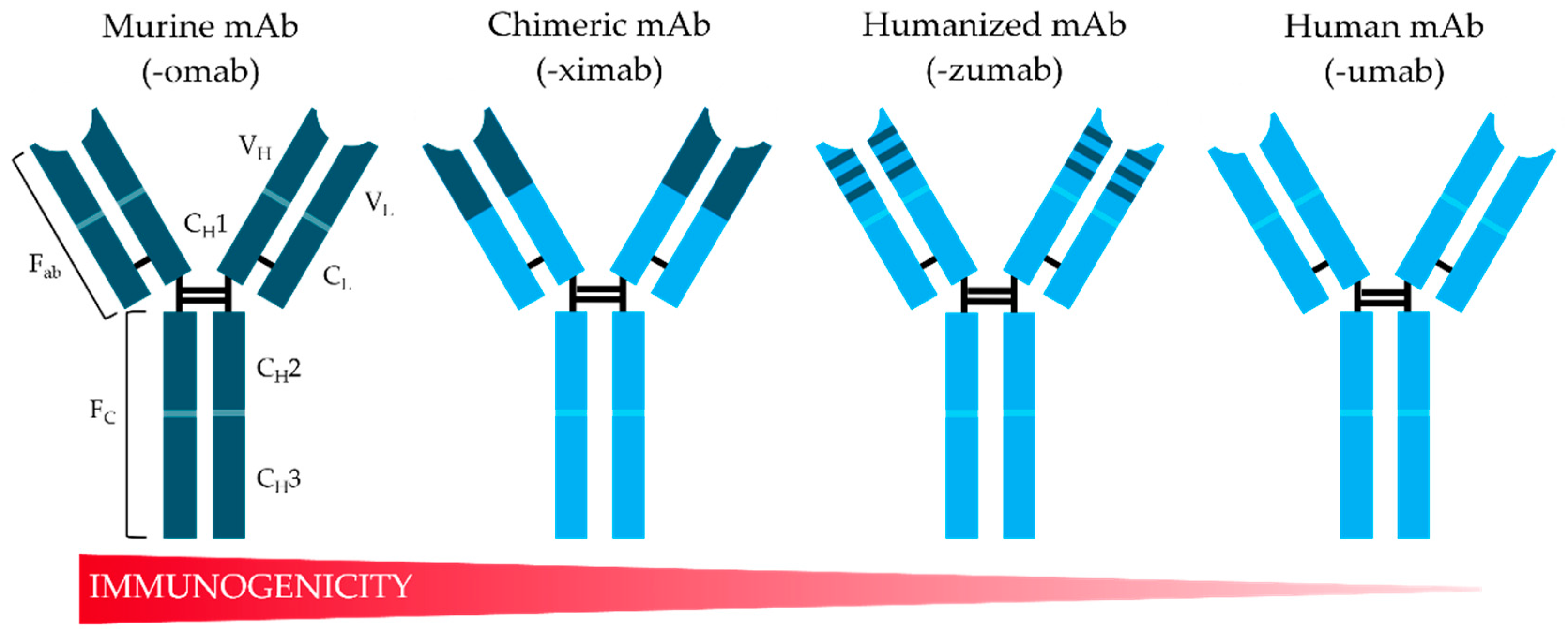 Preprints 142589 g001